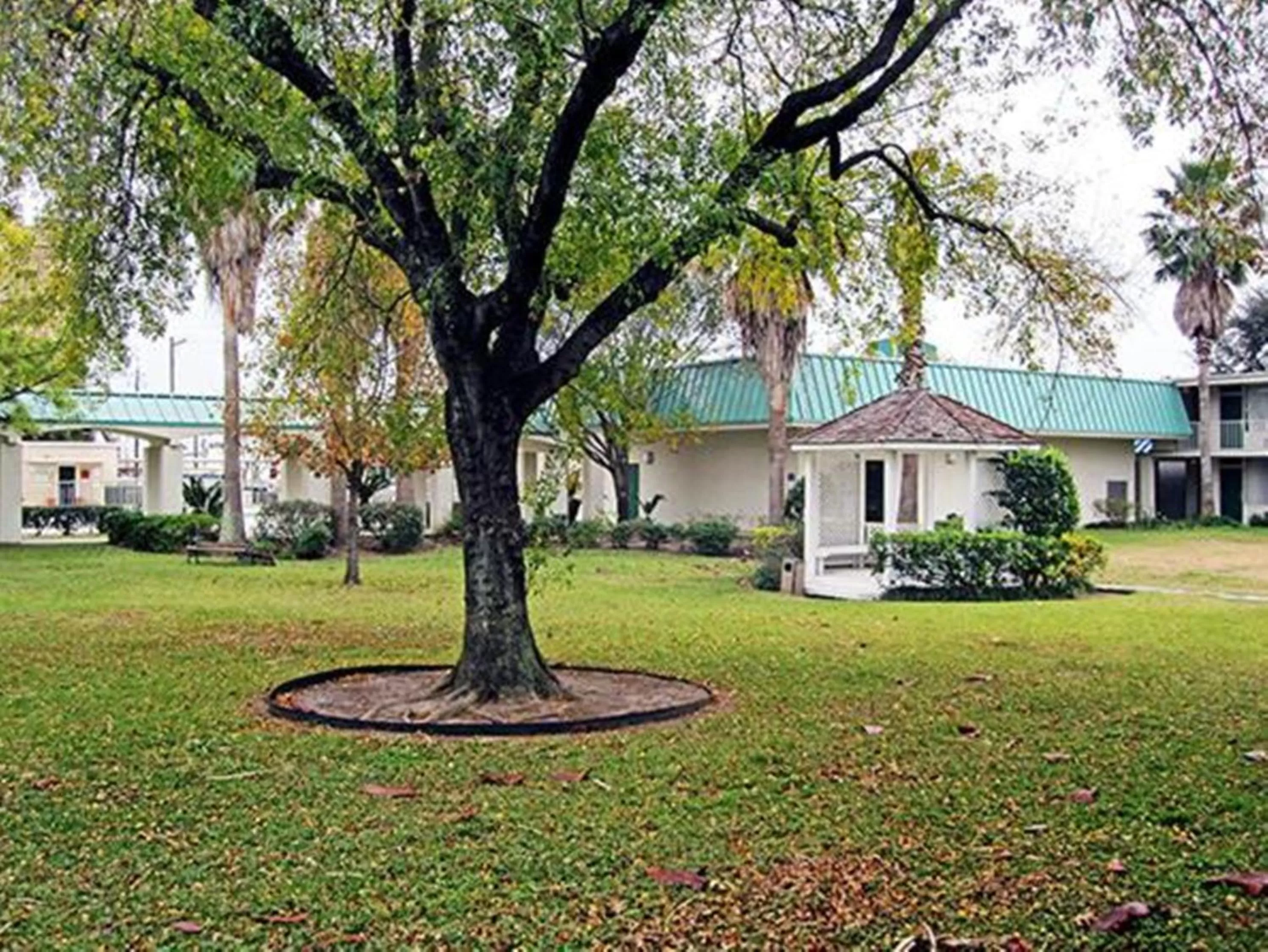 Garden in Motel 6-Houston, TX - East