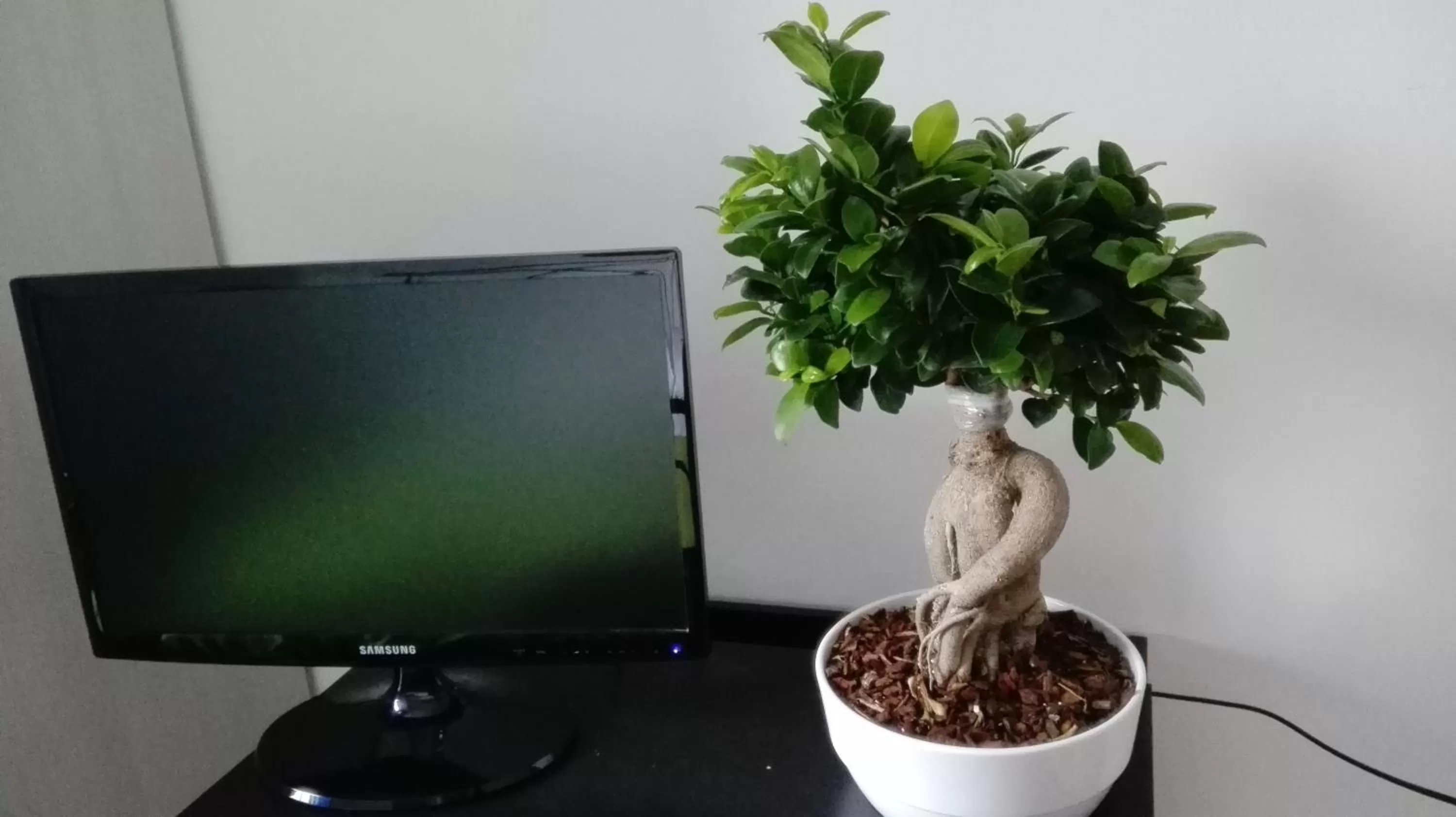 TV and multimedia in B&B D'Amare