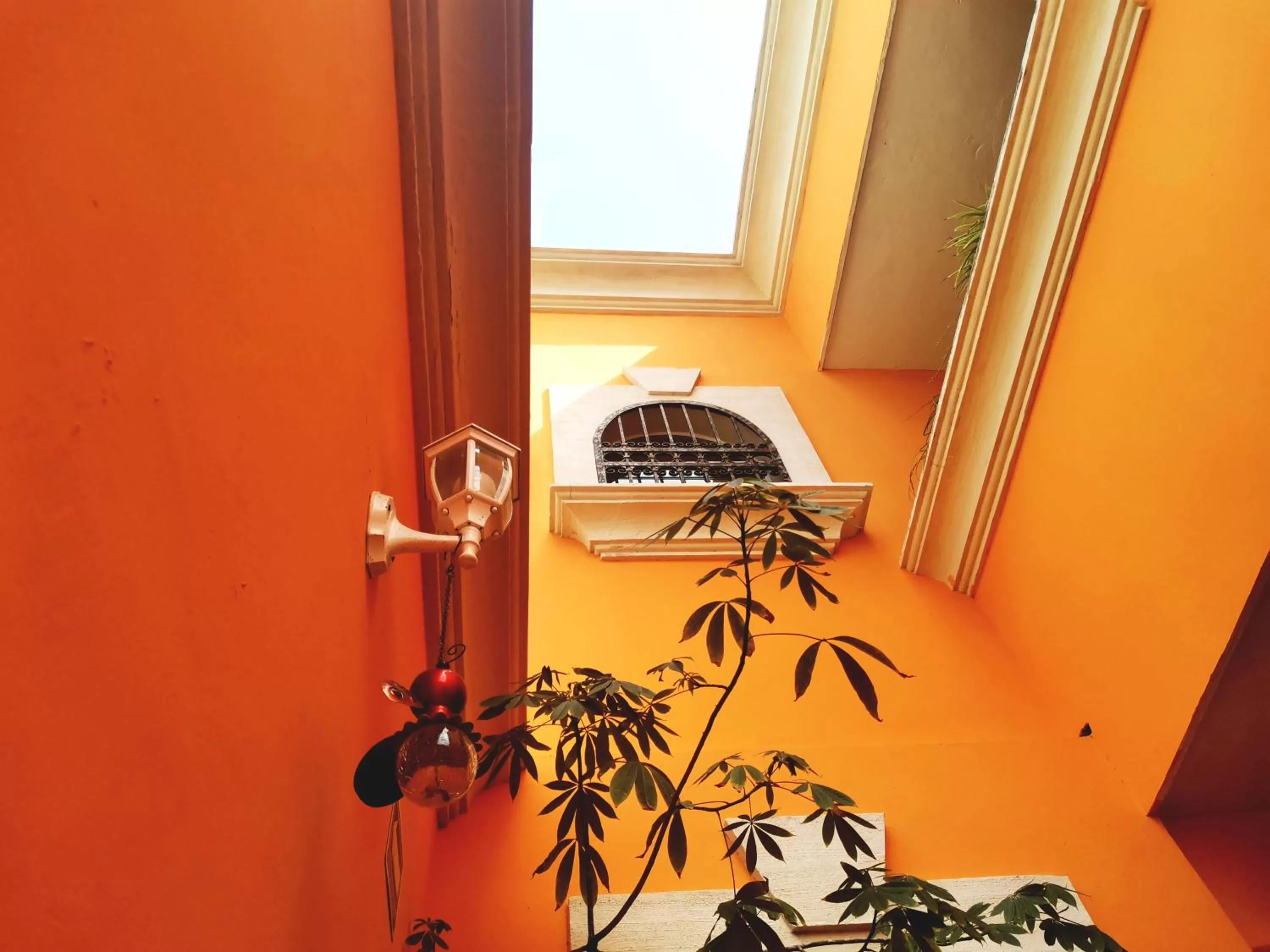 Area and facilities in Hotel Casa Mallorca