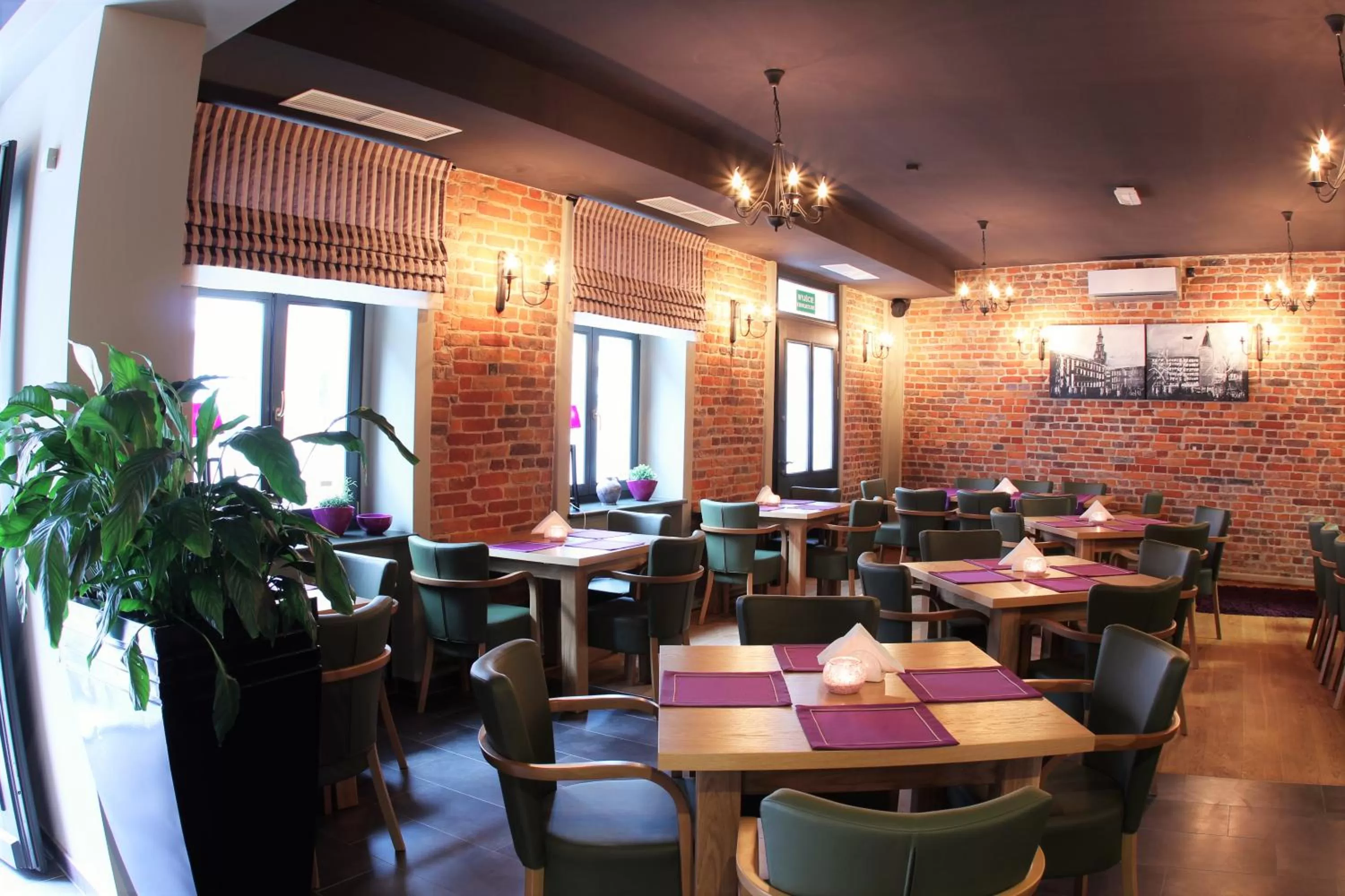 Day in Hotel Kamienica