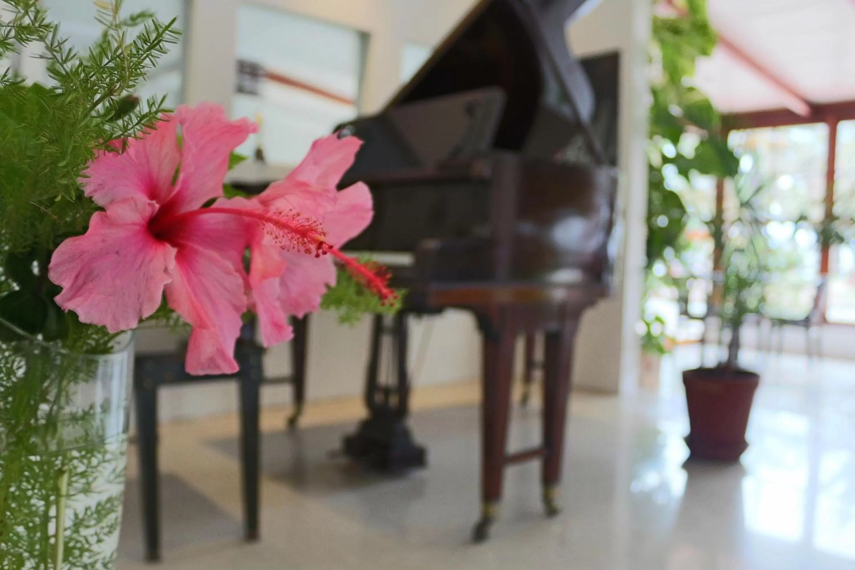 Lounge or bar in Hotel San Martin