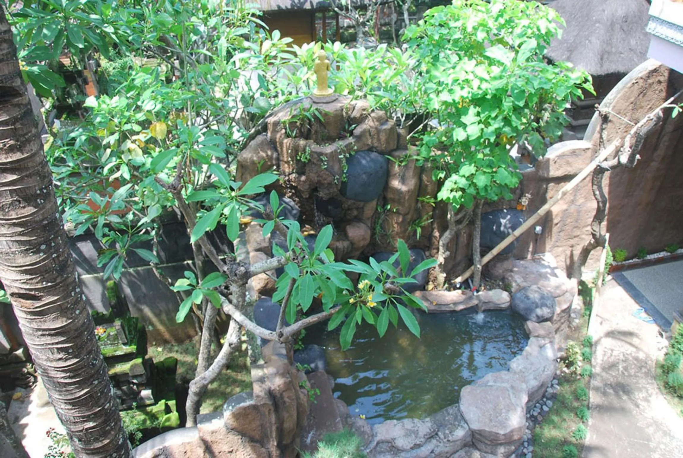 Garden view in Bulan Bali Homestay