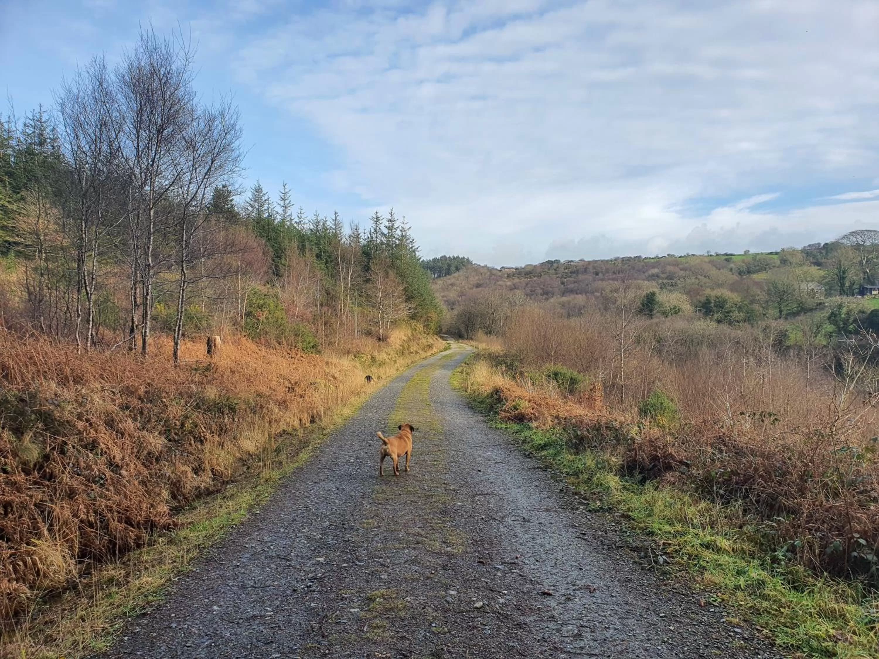 Hiking in Hustyns Resort Cornwall