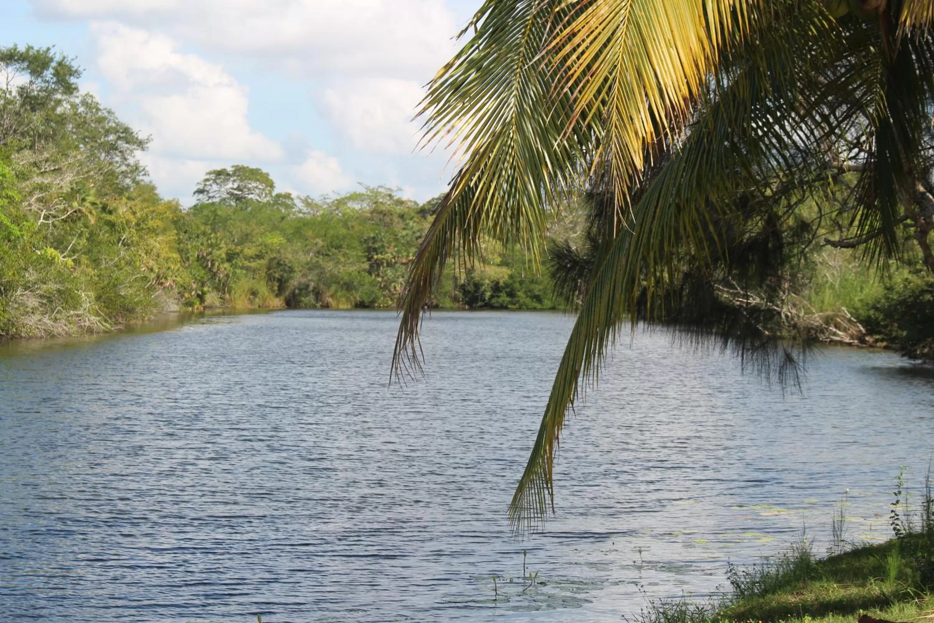 Day in Lamanai Riverside Retreat