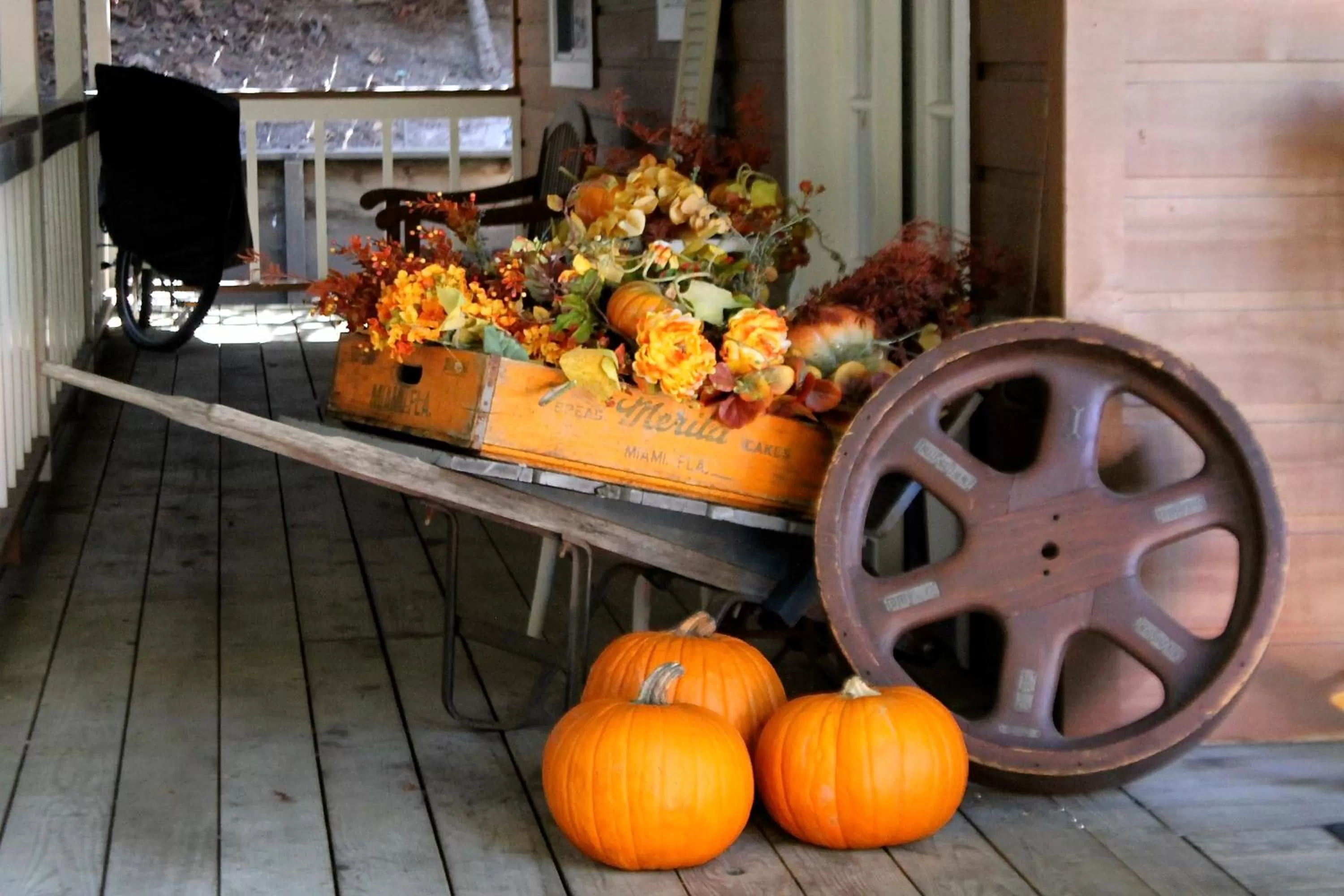 Patio in J Patrick Inn