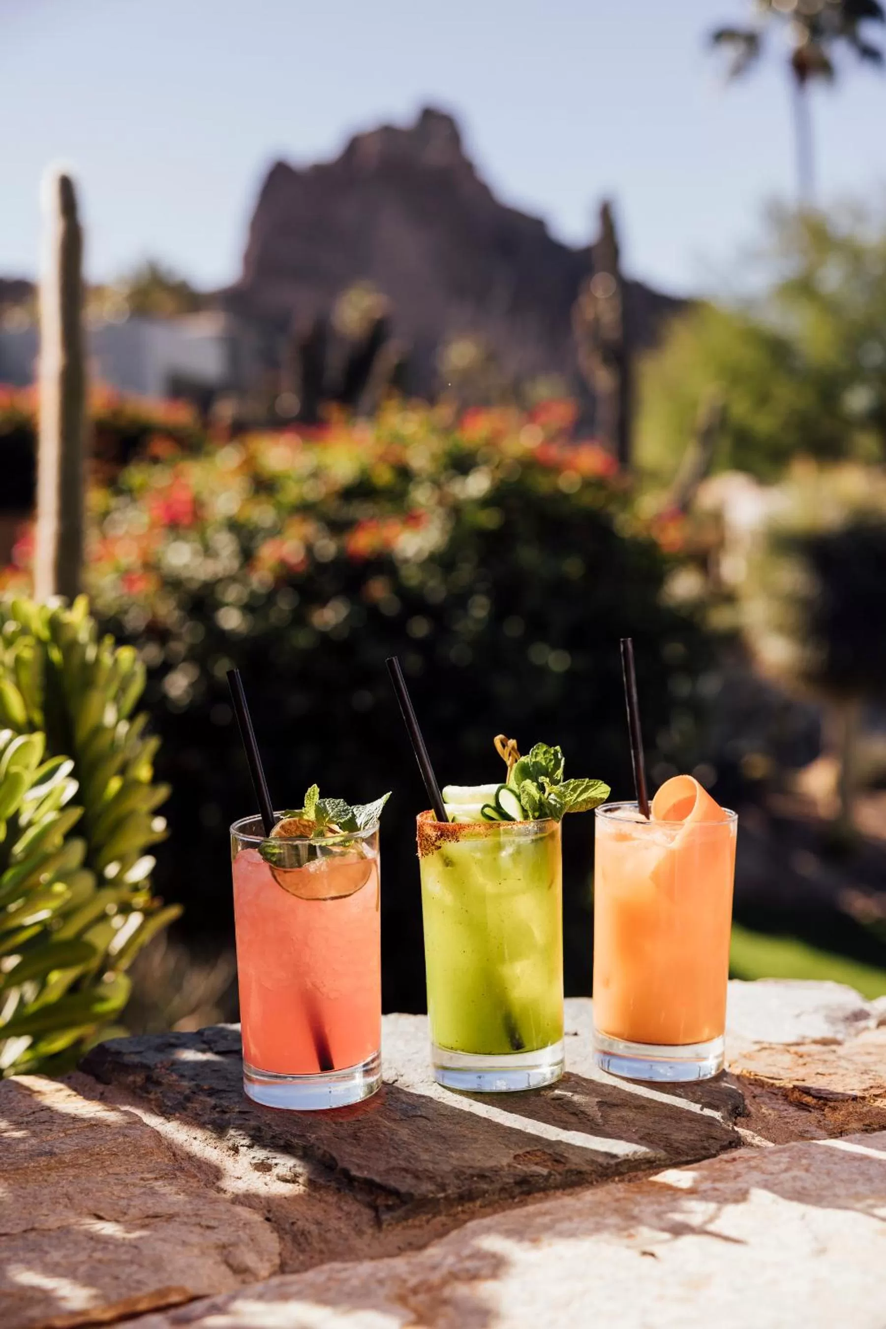 Restaurant/places to eat in Sanctuary Camelback Mountain Resort and Spa