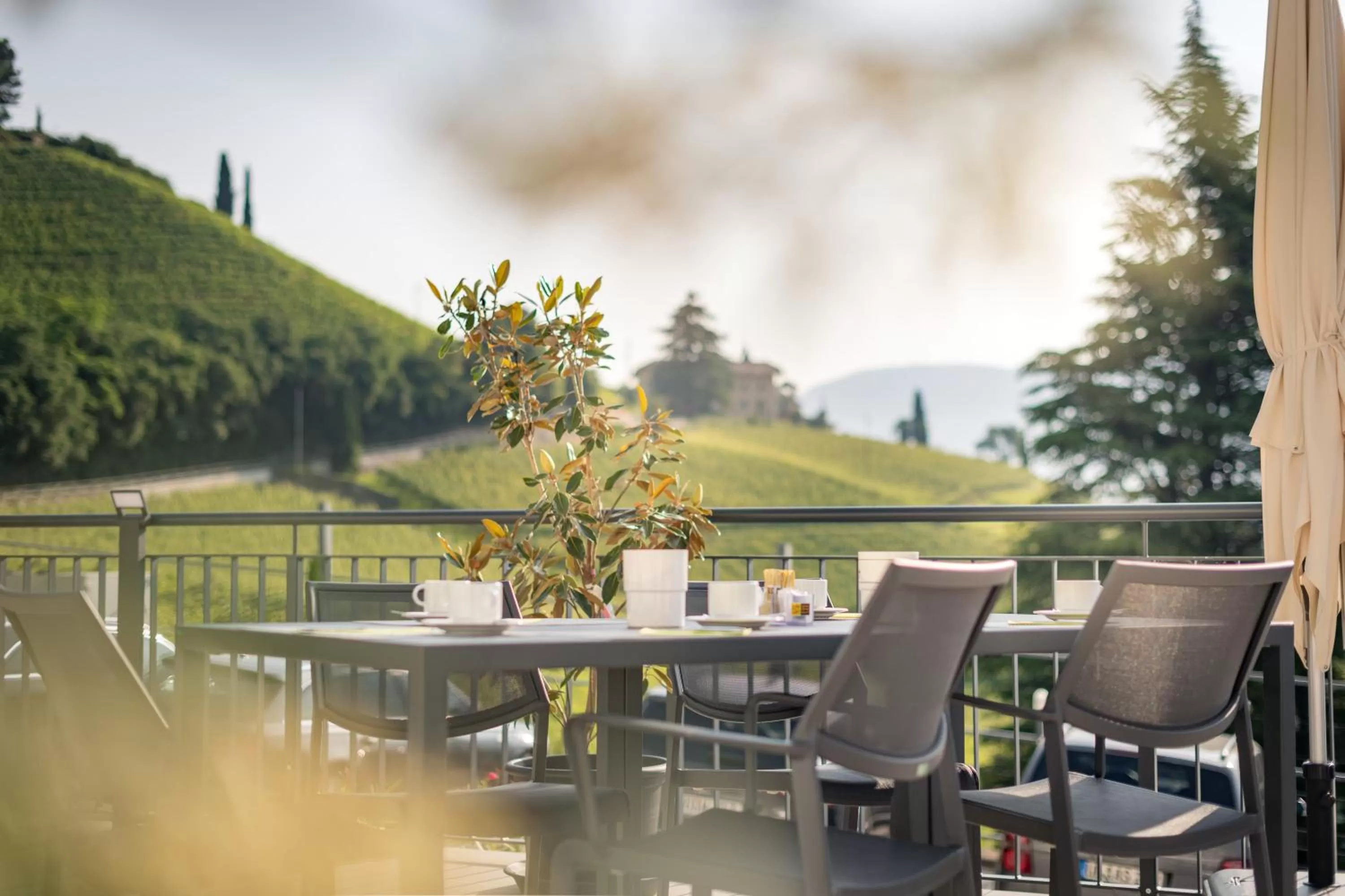 Balcony/Terrace in Residence Garni Hotel Vineus