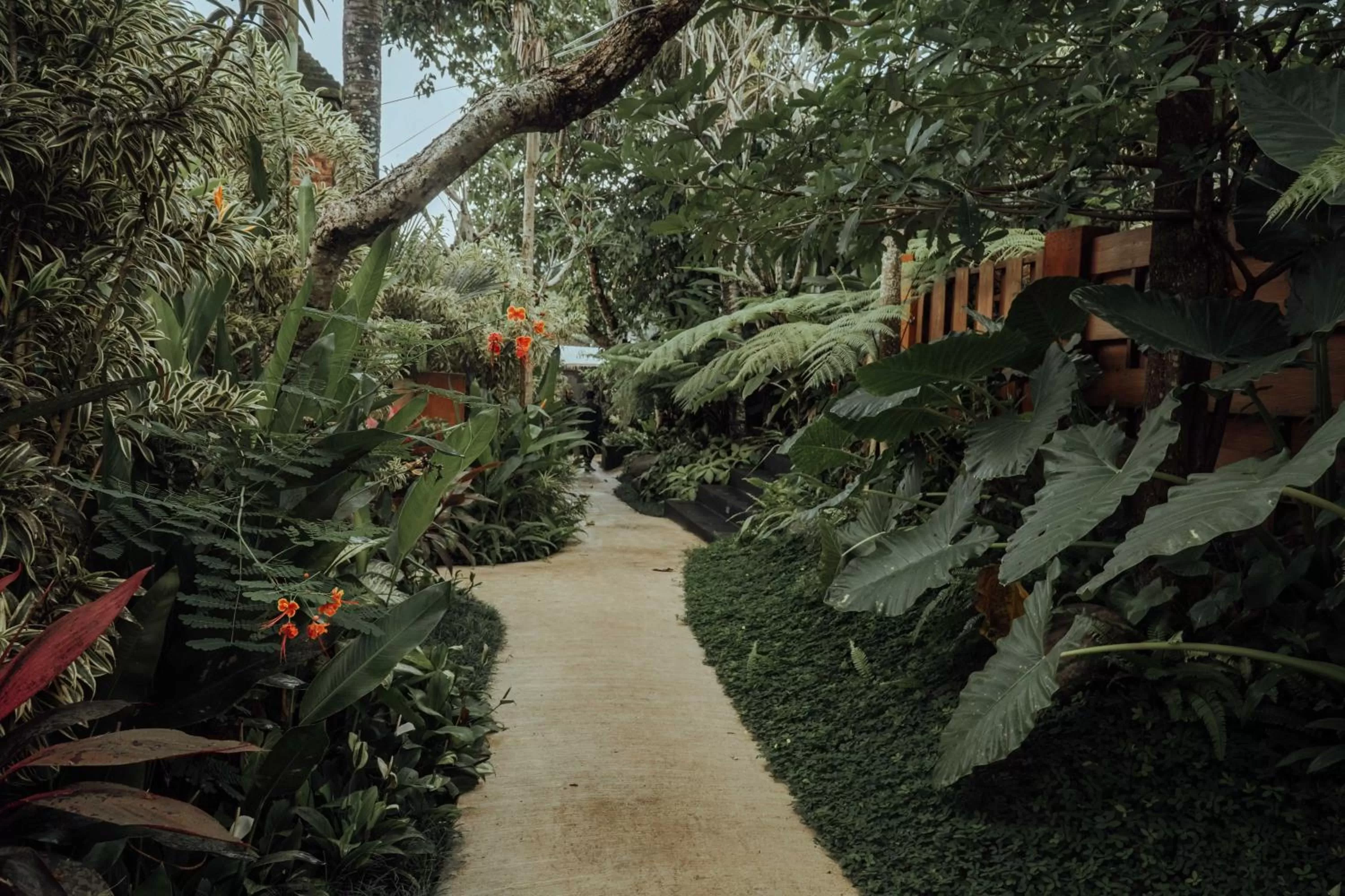 Garden view in Alam Wayang Ubud - CHSE Certified