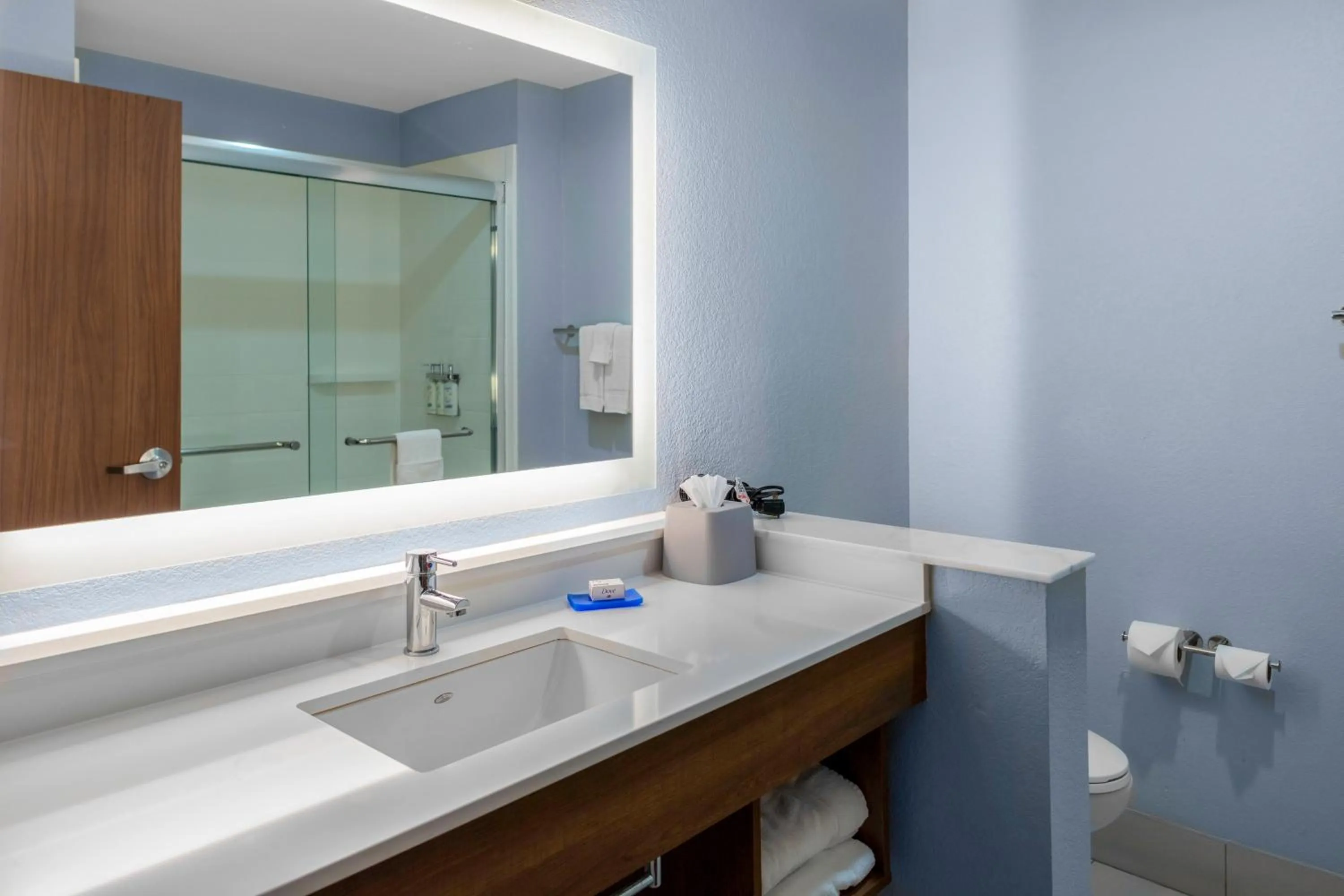 Bathroom in Holiday Inn Express & Suites Leander by IHG