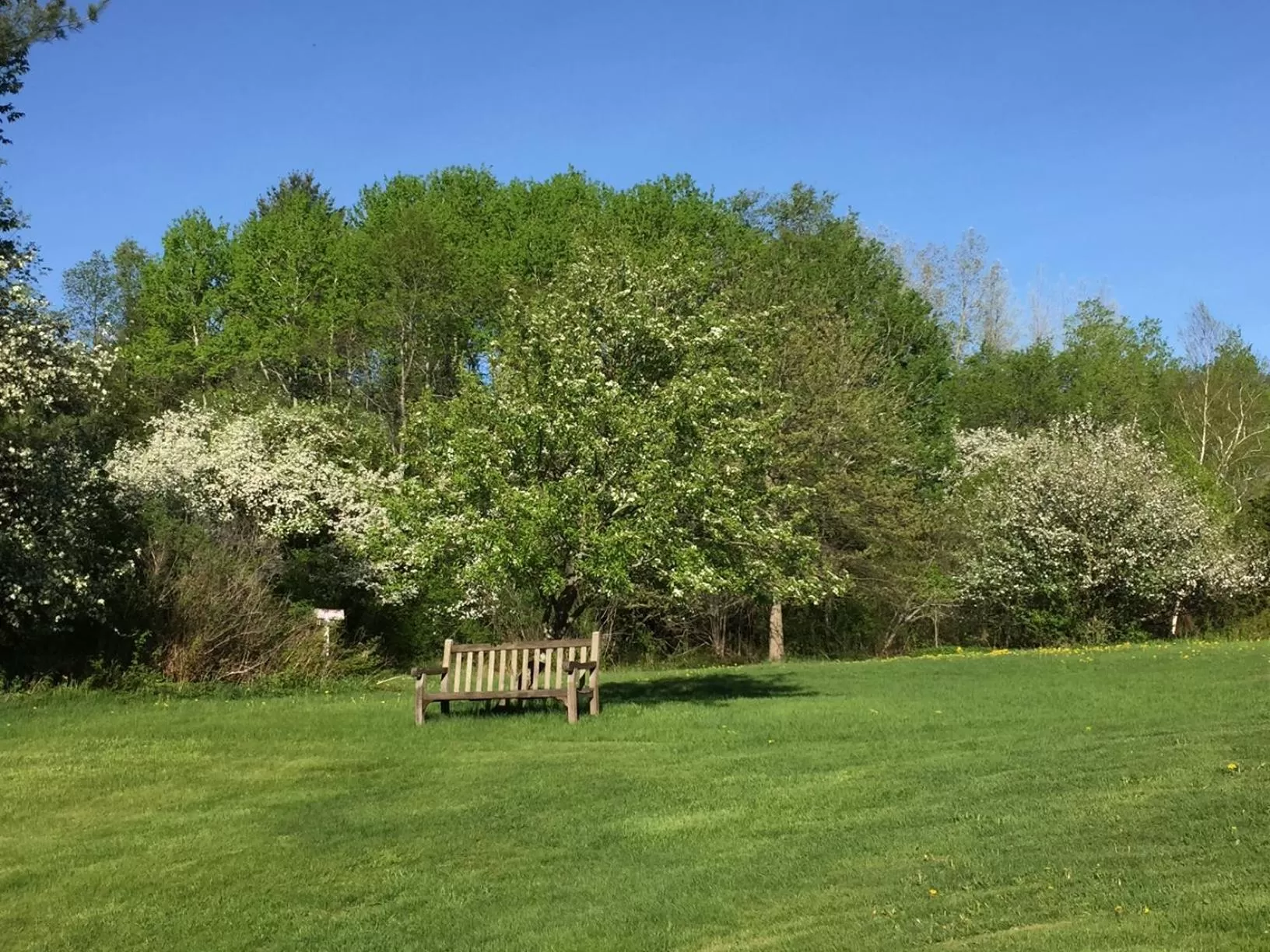 Property building in The Nutmeg Vermont
