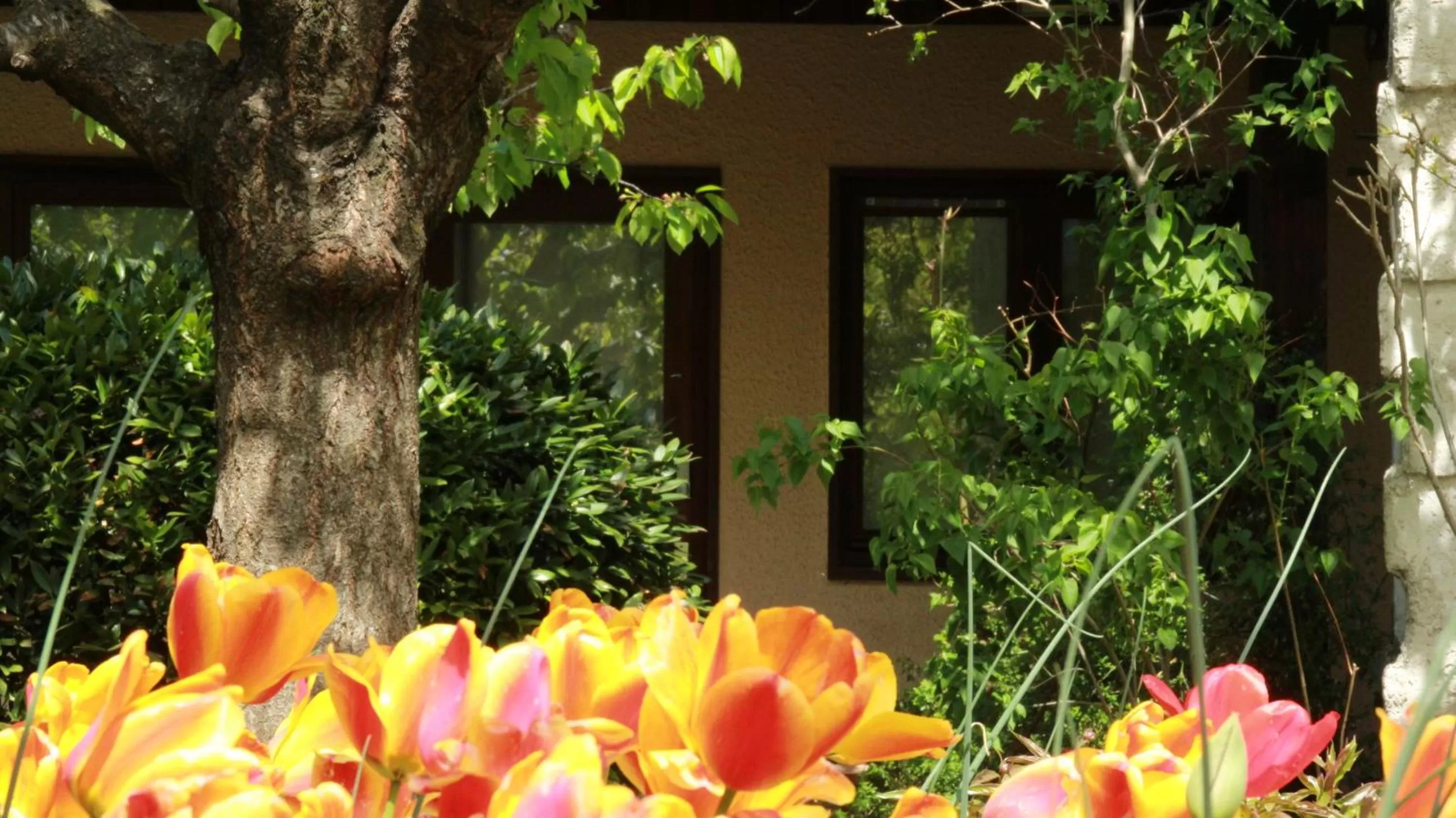 La Ferme de Thoudiere