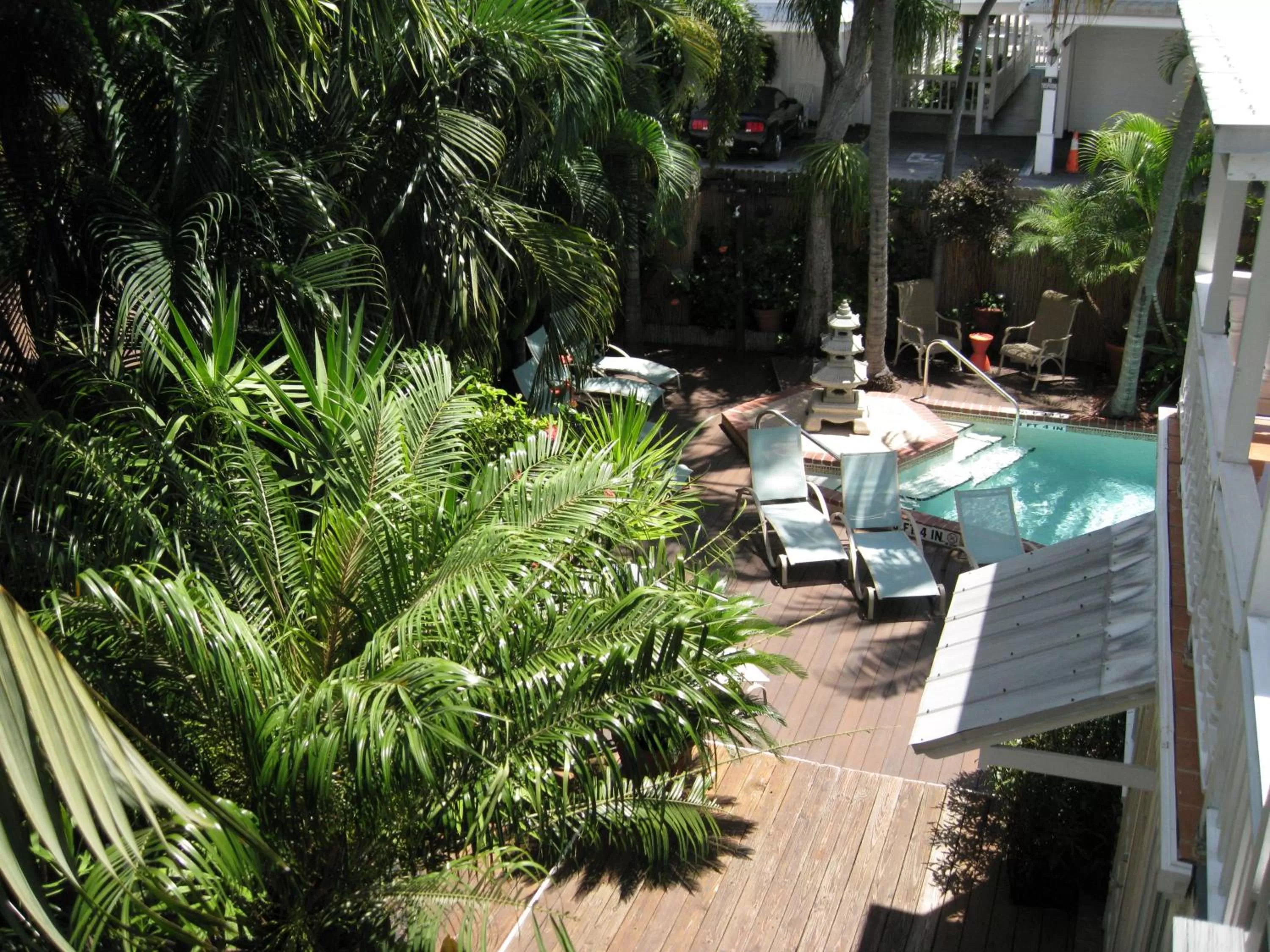 Swimming pool in Douglas House