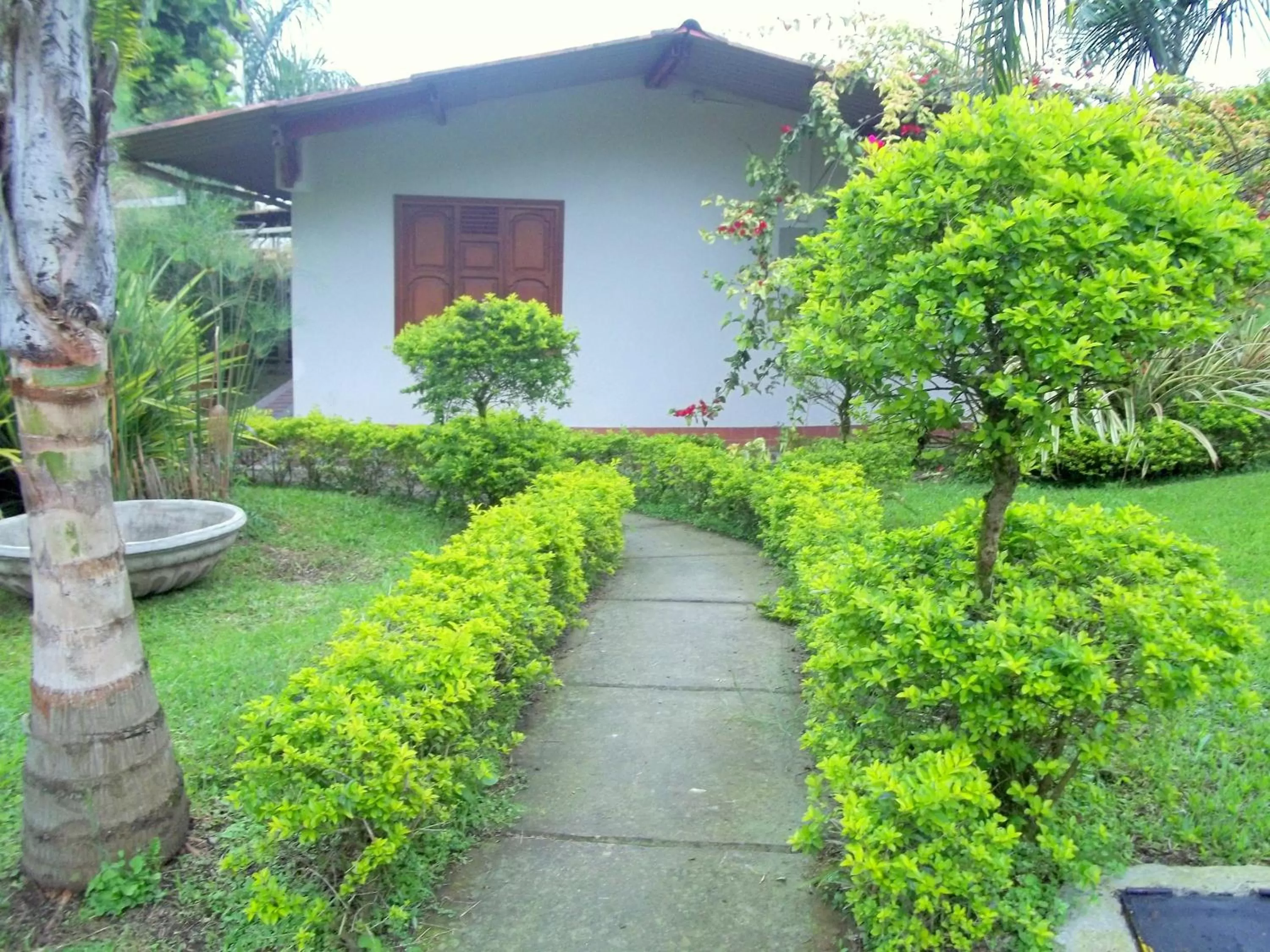 Property Building in Cabañas Las Bifloras