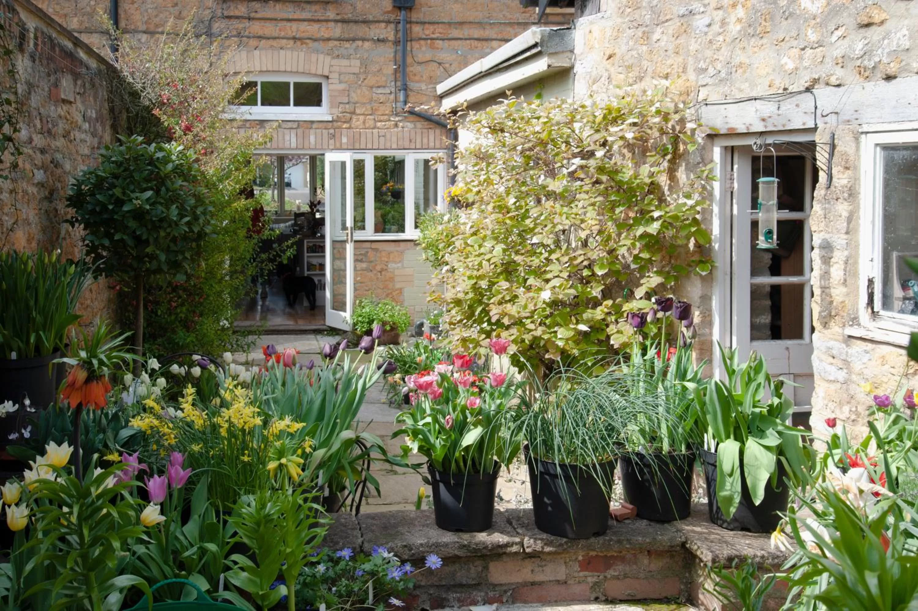 Patio, Property Building in Avalon House Bed and Breakfast
