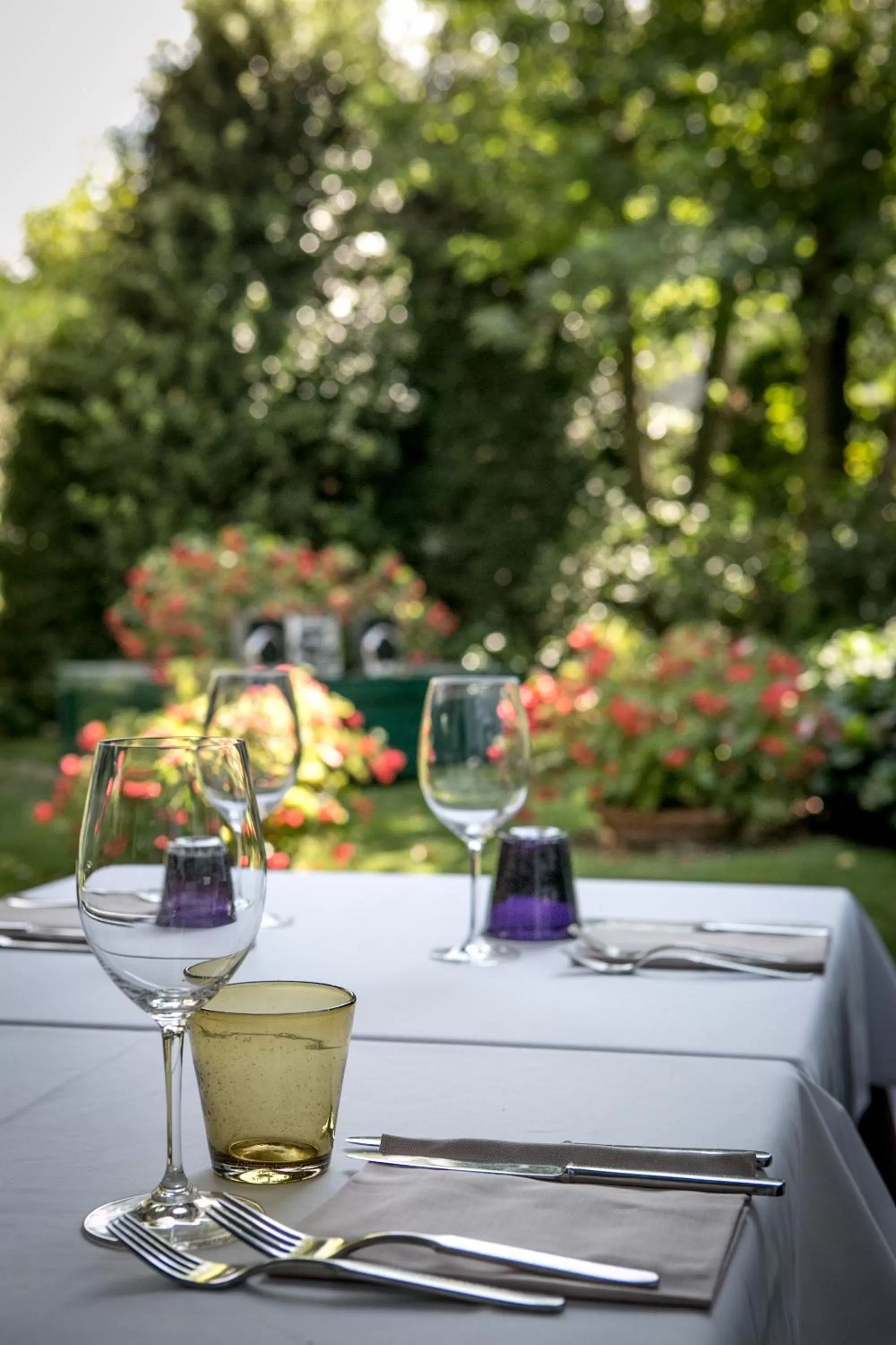 Restaurant/places to eat in Hotel Touring