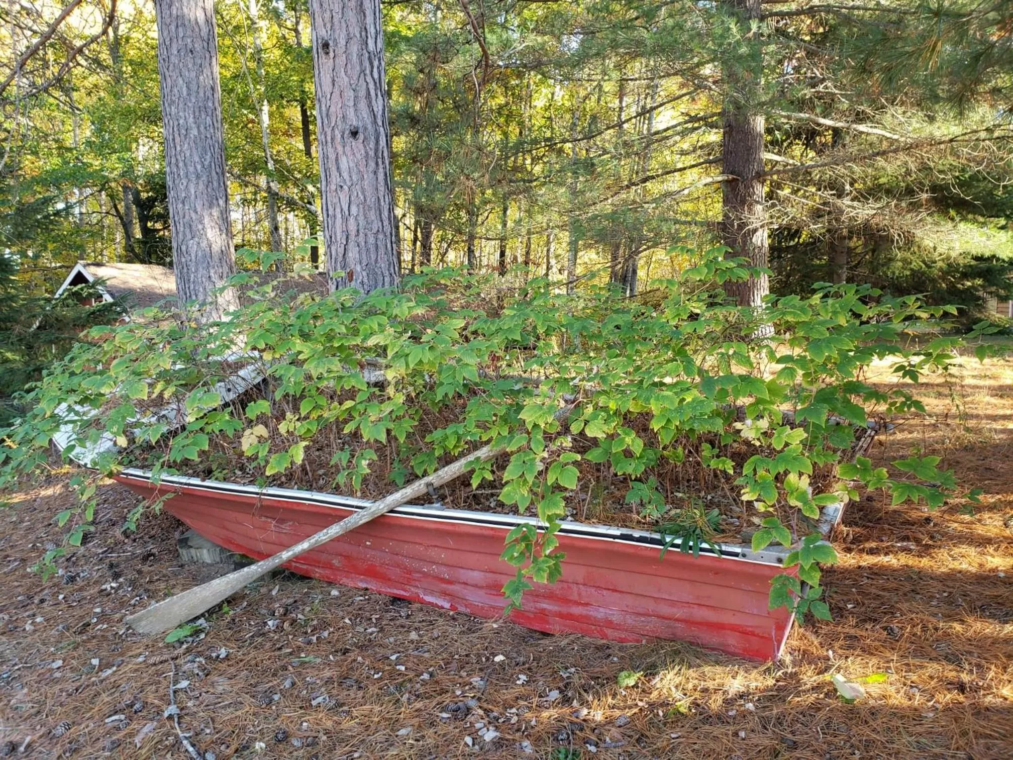 Hush Lodge and Cottages