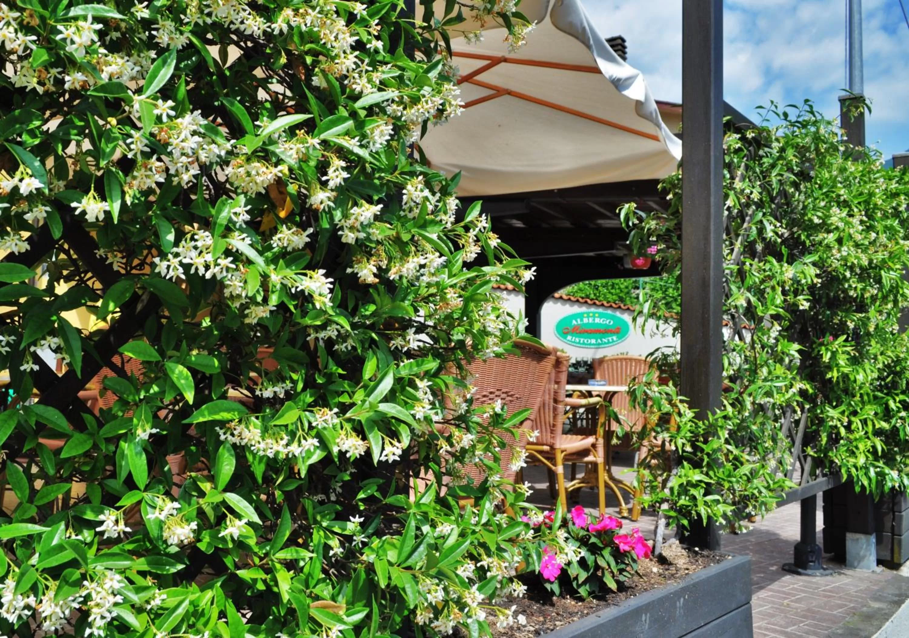 Patio in Albergo Miramonti