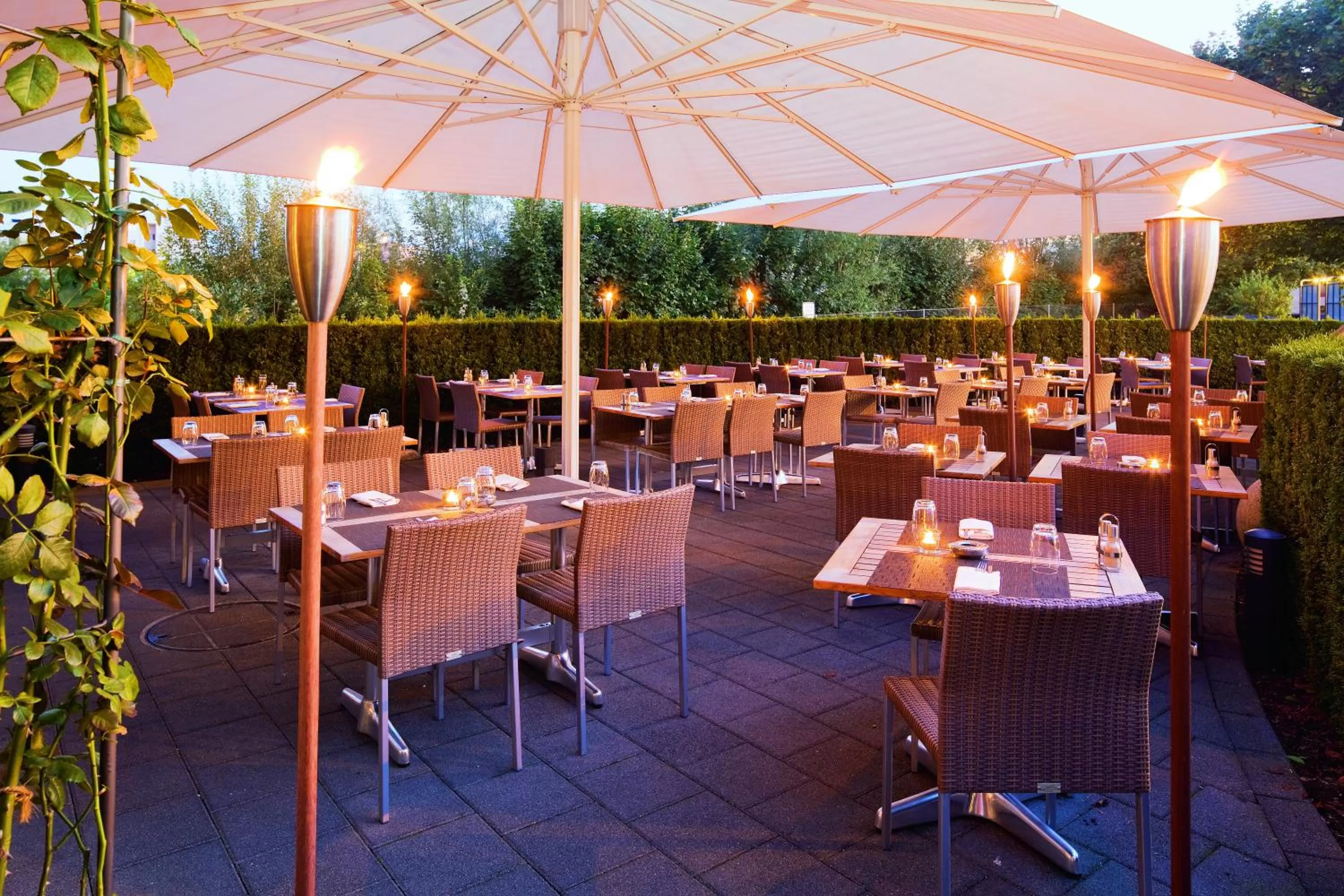 Restaurant/places to eat in Mövenpick Hotel Zurich Airport