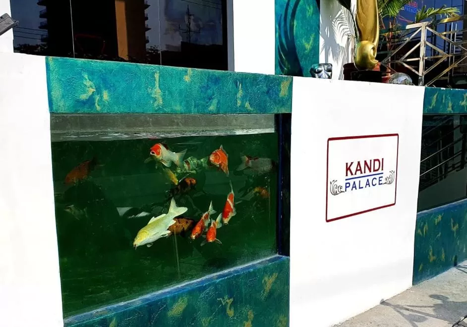 Property building in Kandi Palace