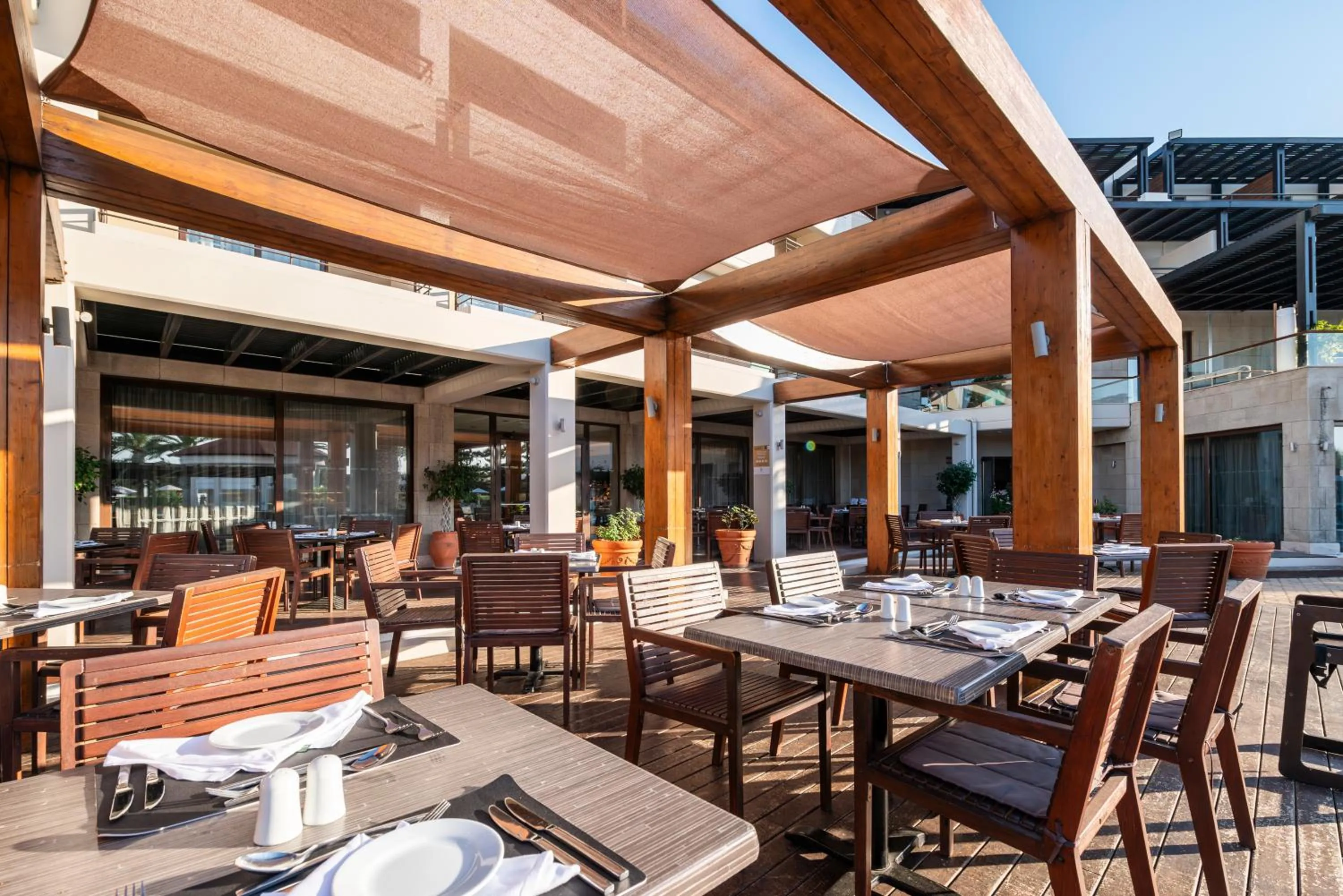 Restaurant/places to eat in D'Andrea Mare Hotel