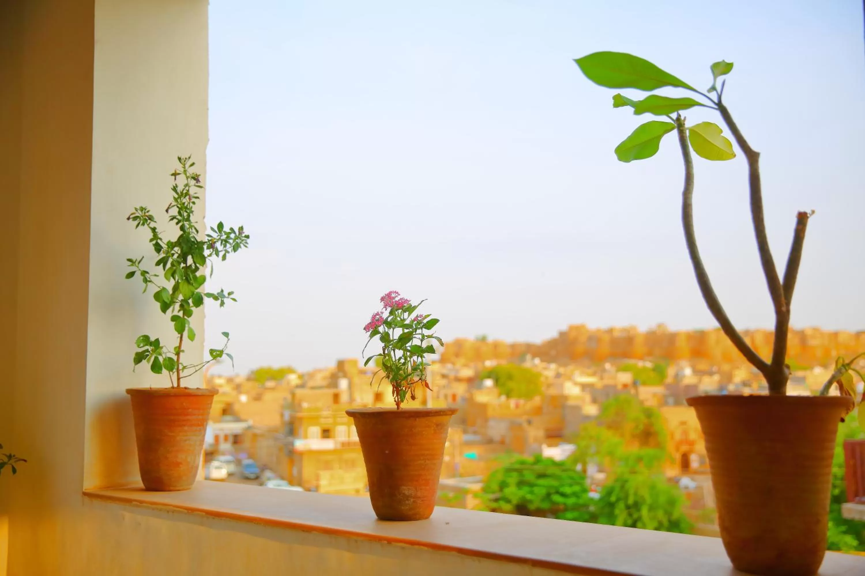 Day in The Wanderlust Guest House & Safari