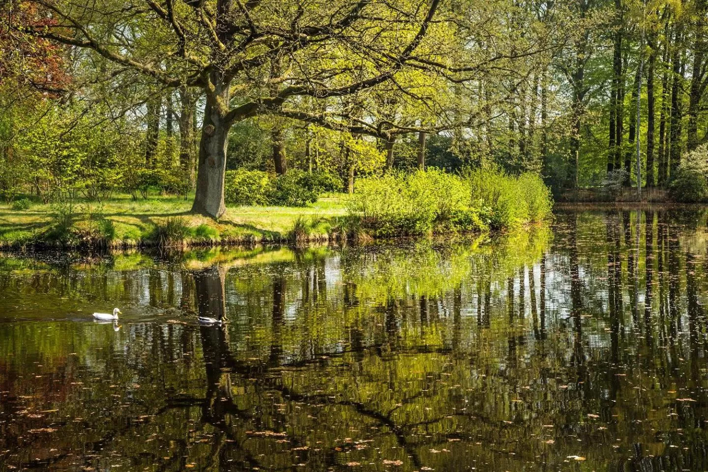 Garden in Hotel Kasteel de Essenburgh