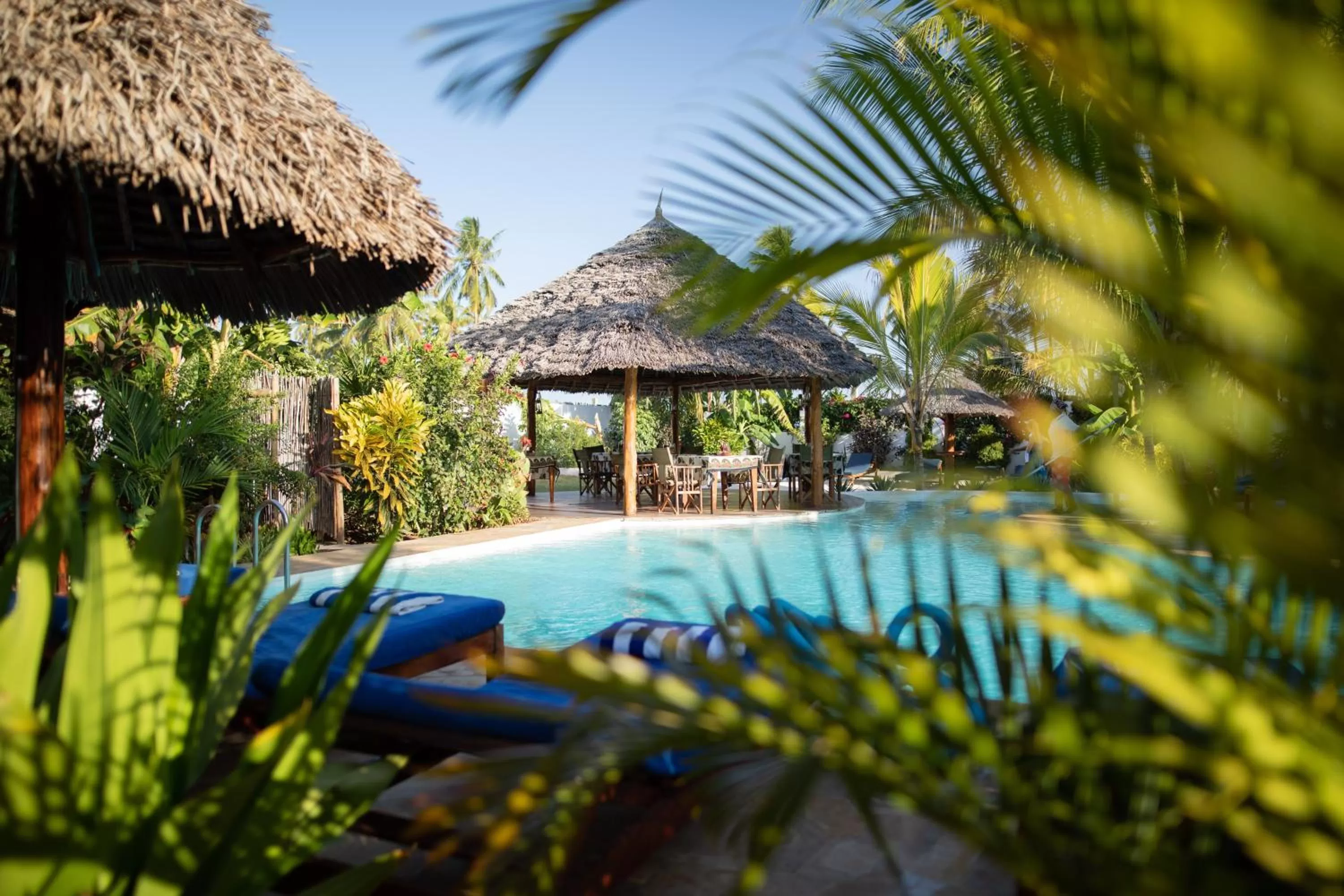 Restaurant/places to eat, Swimming Pool in Aluna Nungwi