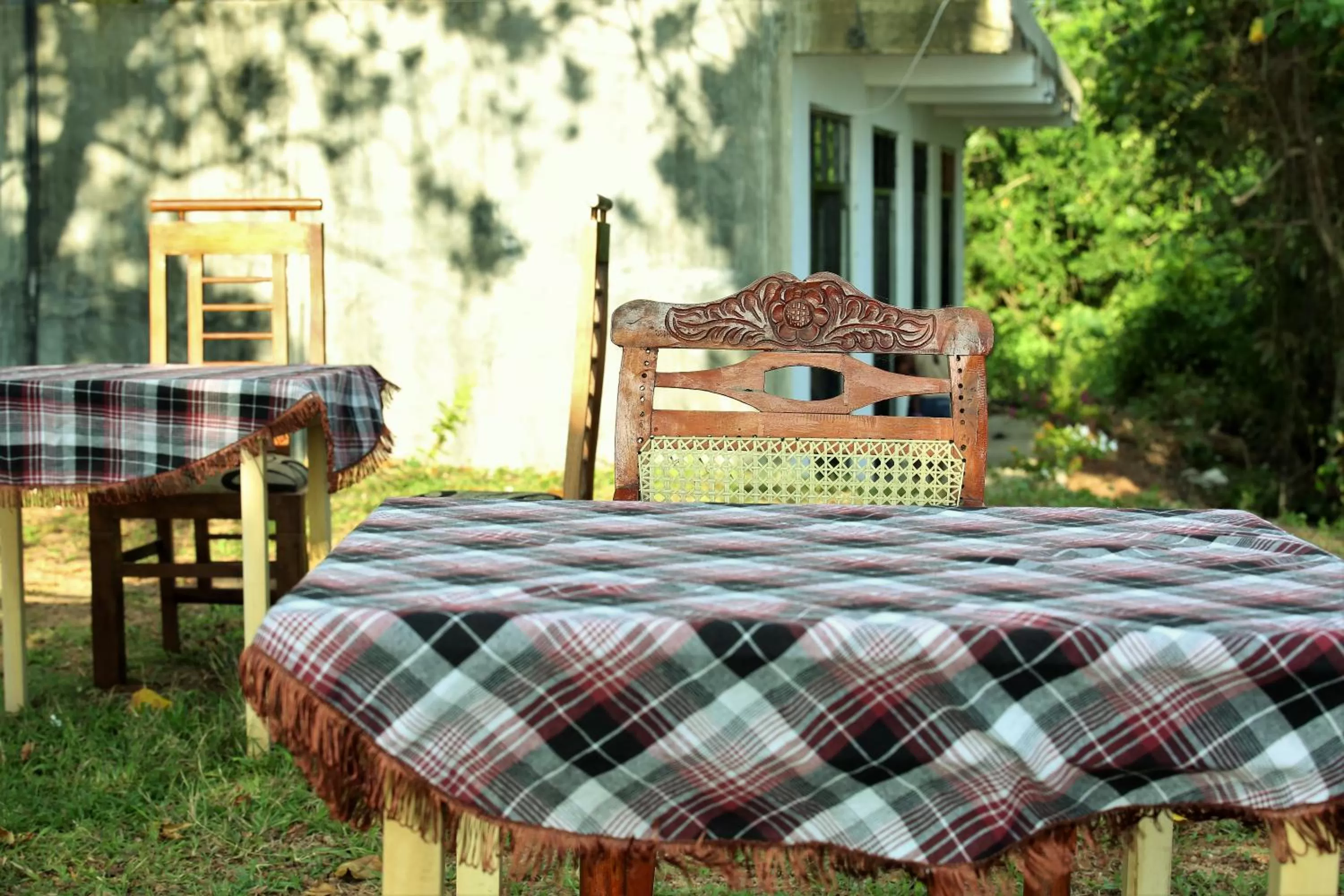 Garden view in Sky Mountain Café with seaview