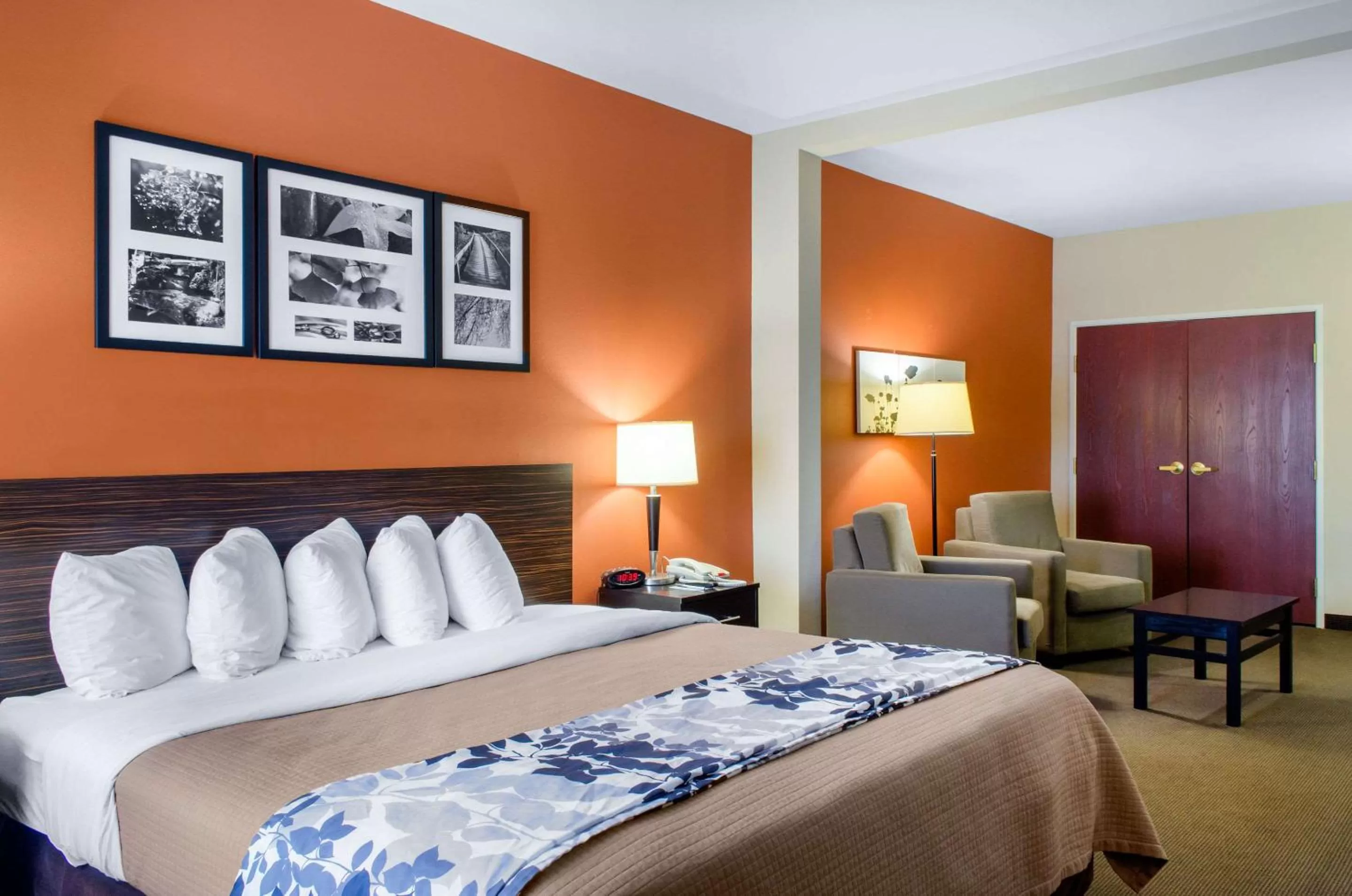 Photo of the whole room, Bed in Sleep Inn & Suites East Chase