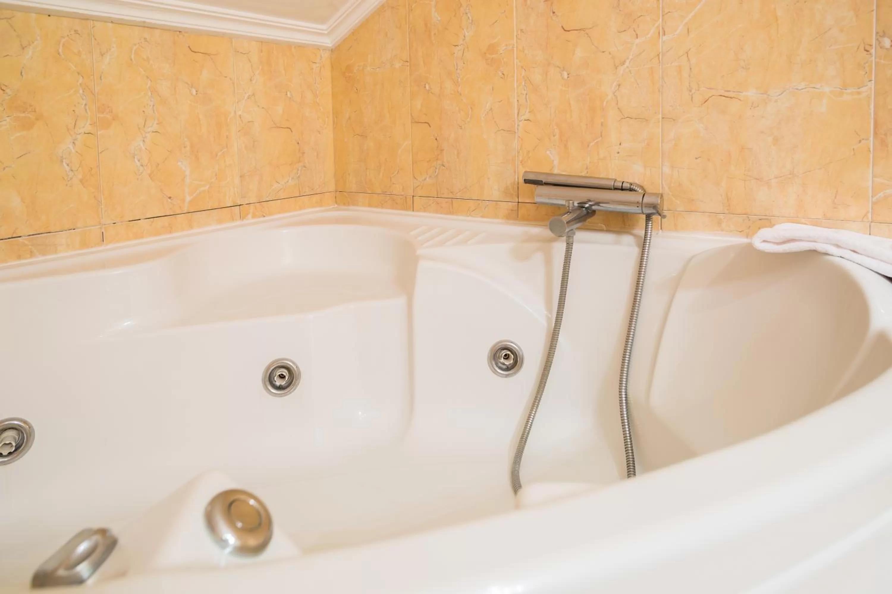 Hot Tub in Hotel Real de Castilla