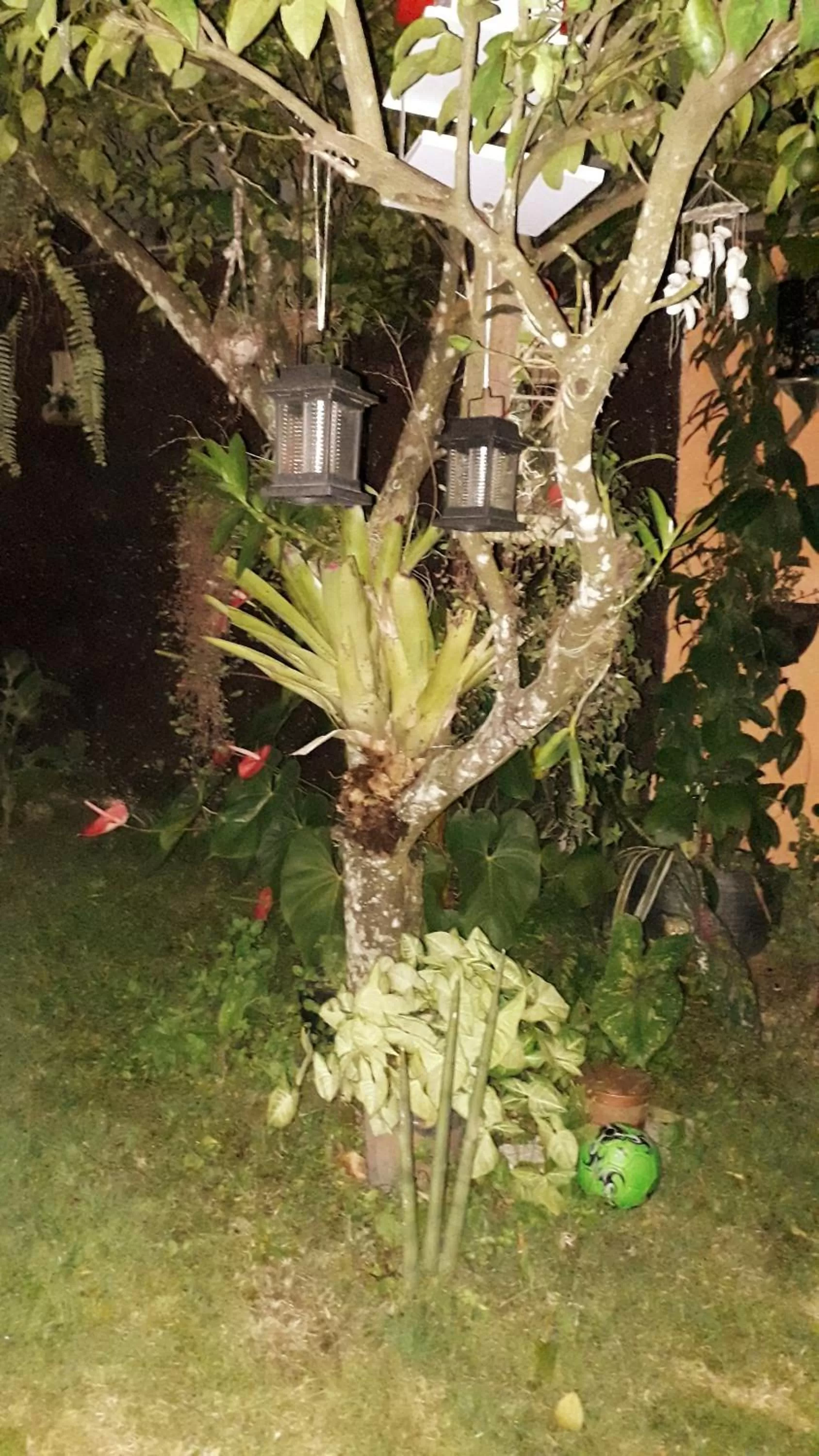 Pousada e SPA Shiva São Sebastião 200mts da praia