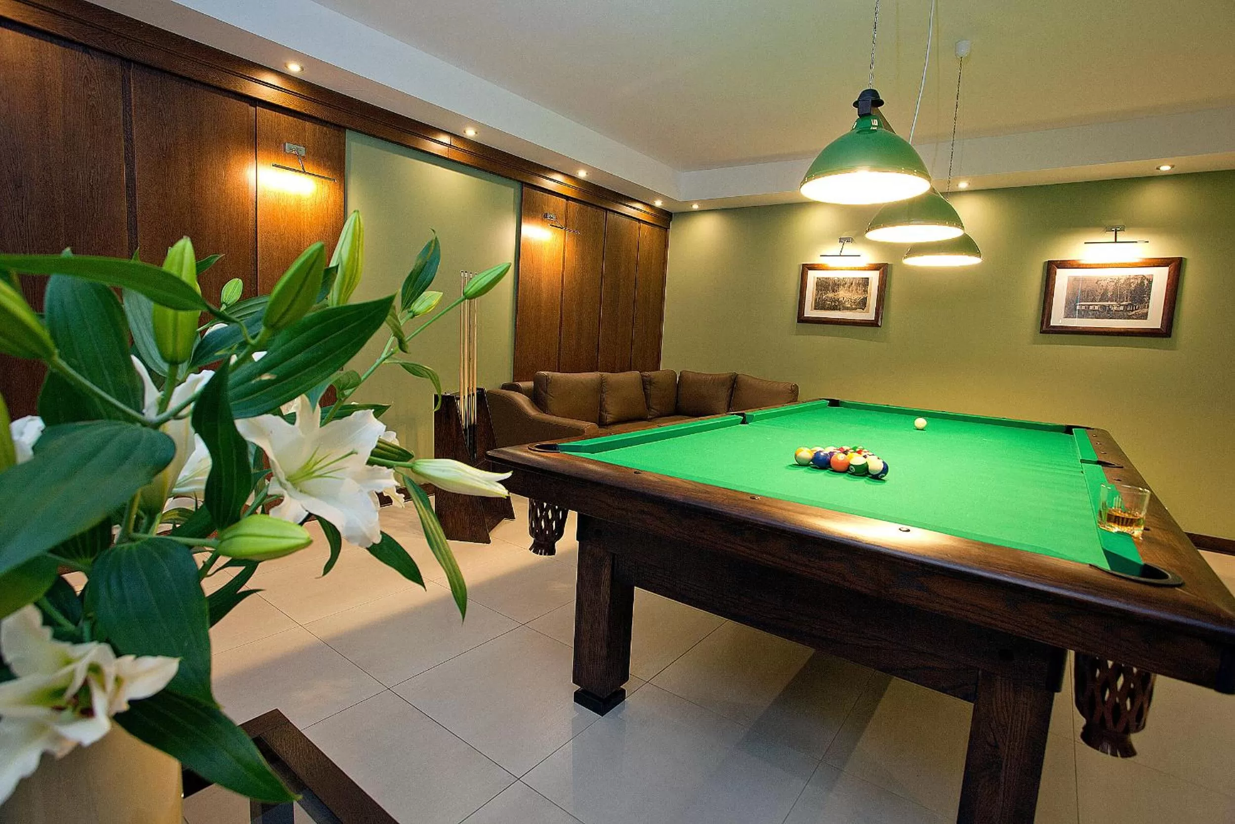 Billiard, Billiards in Rezydencja Sunny Hill