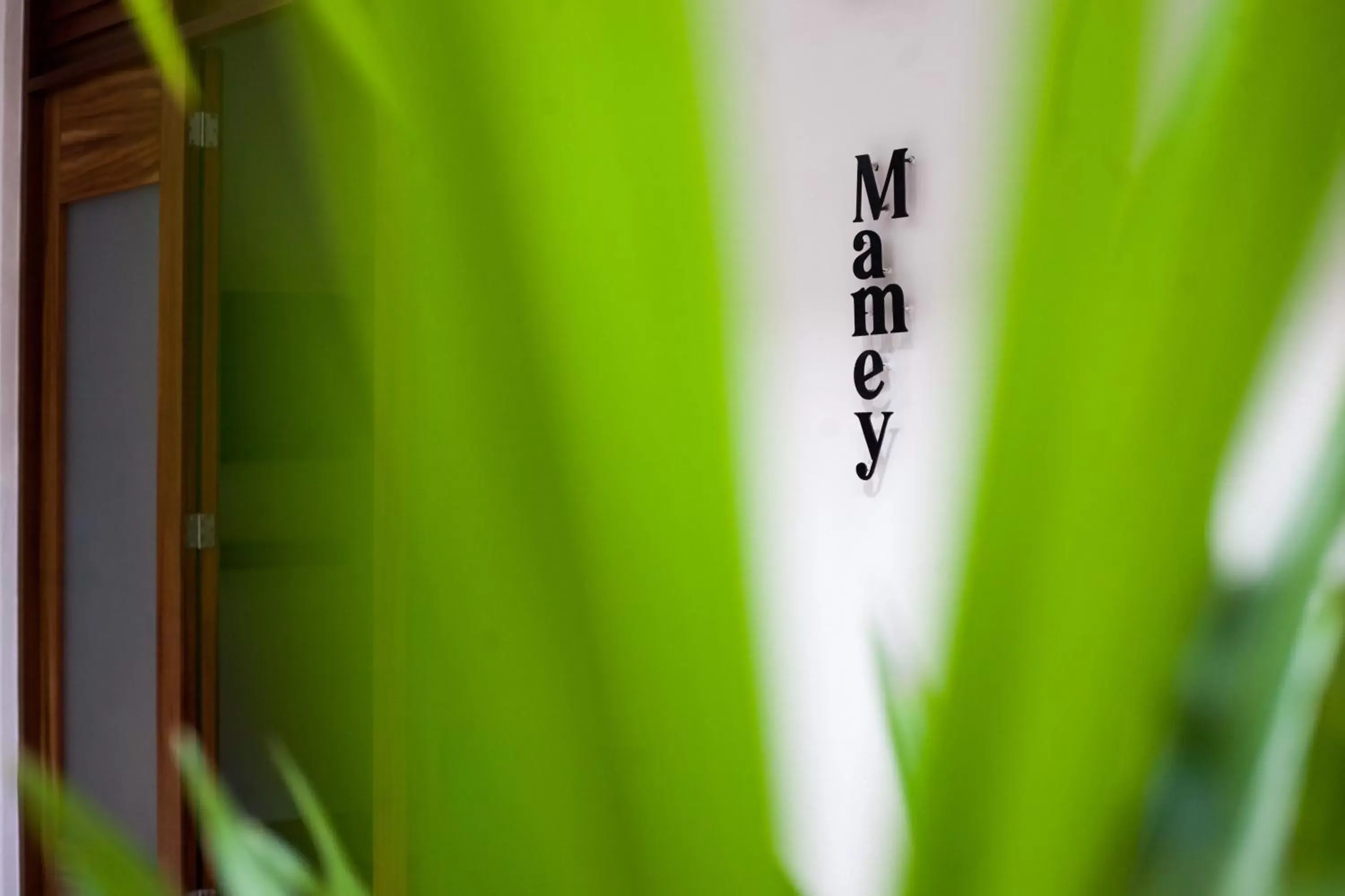 Standard Suite in Latino Hotel Boutique Standard Suite in Latino Hotel Boutique