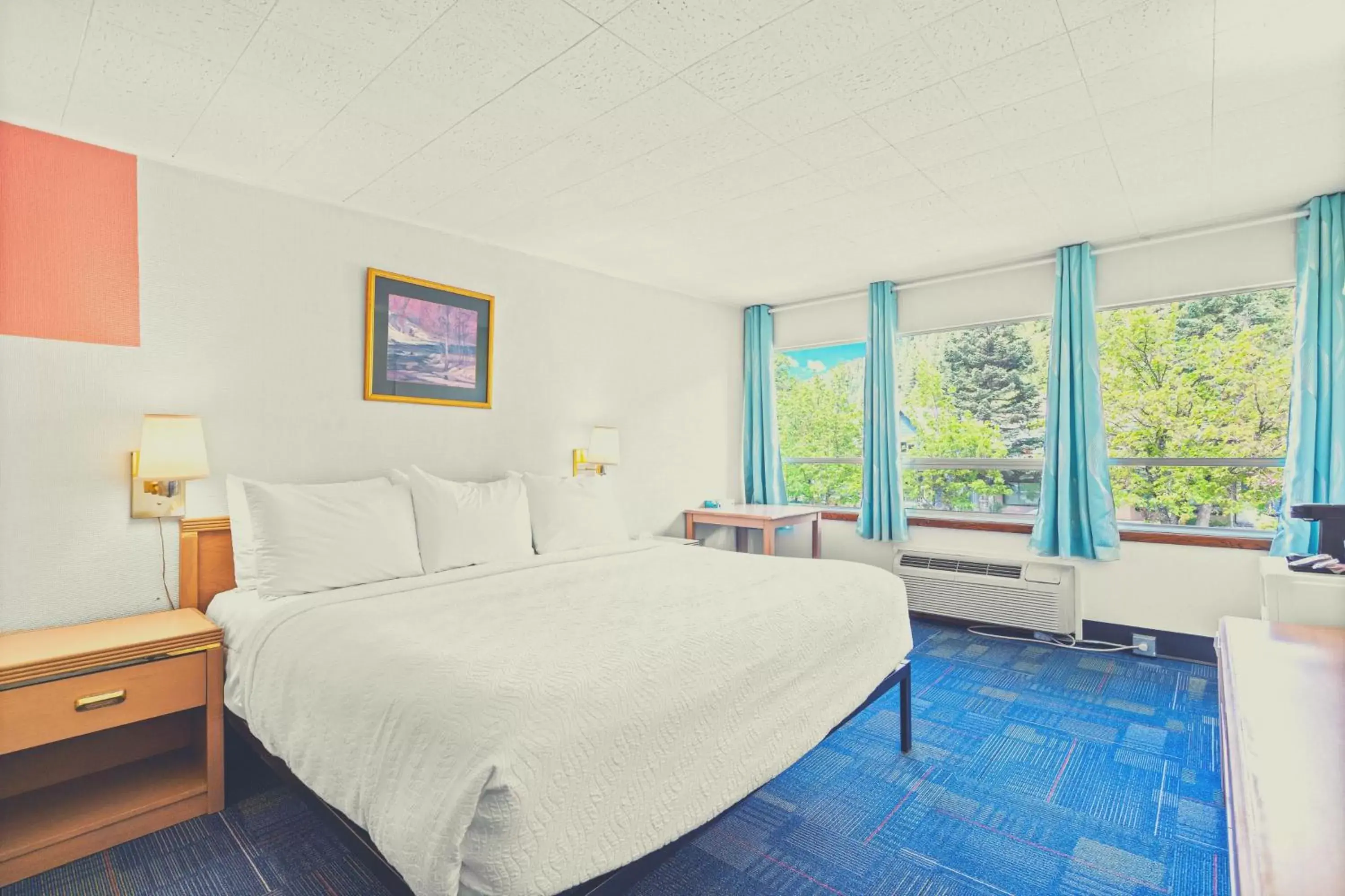 Superior King Room in Stardust Motel Wallace Superior King Room in Stardust Motel Wallace