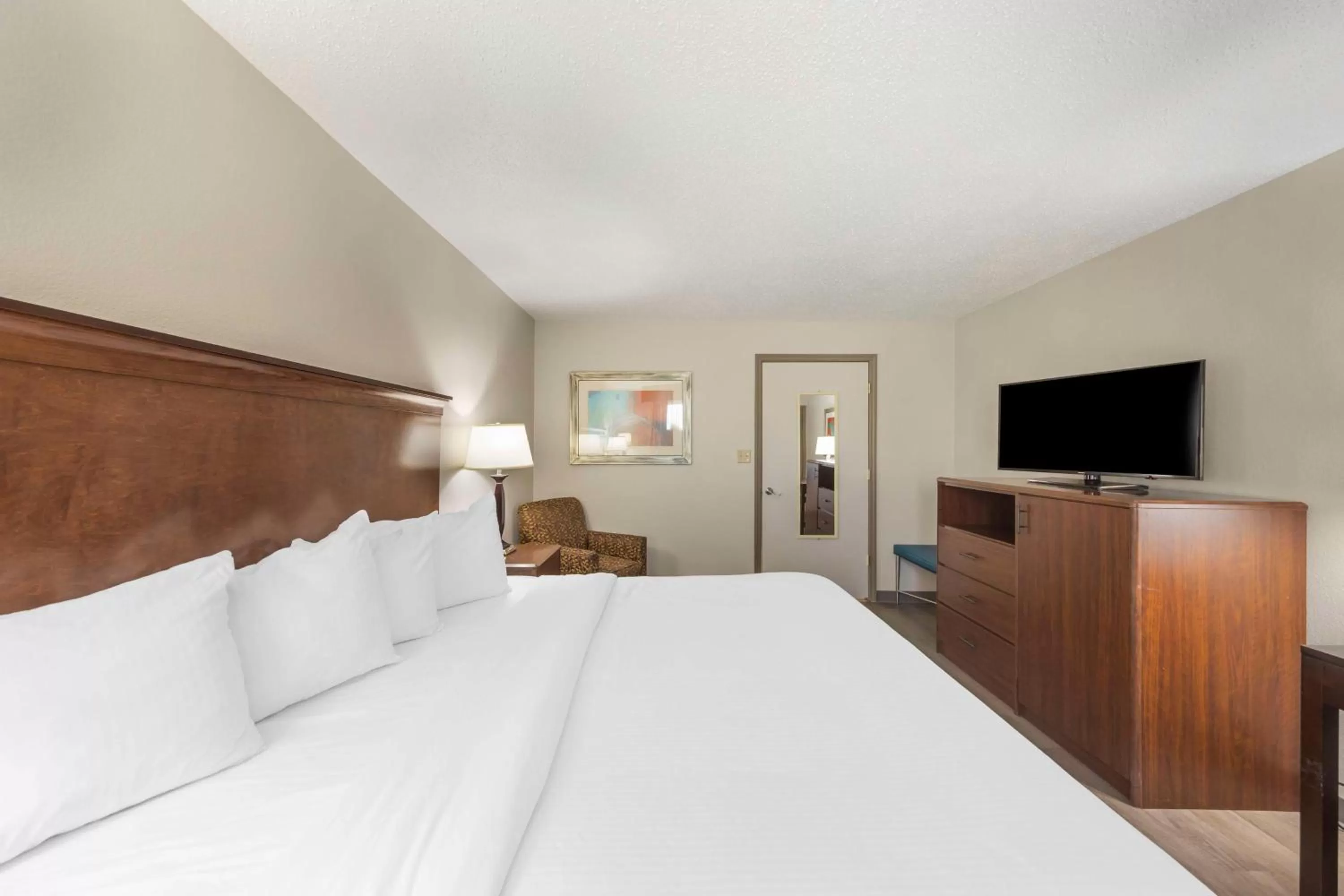 King Room with Roll-In Shower - Disability Access/Pet-Friendly in Best Western Athens Inn