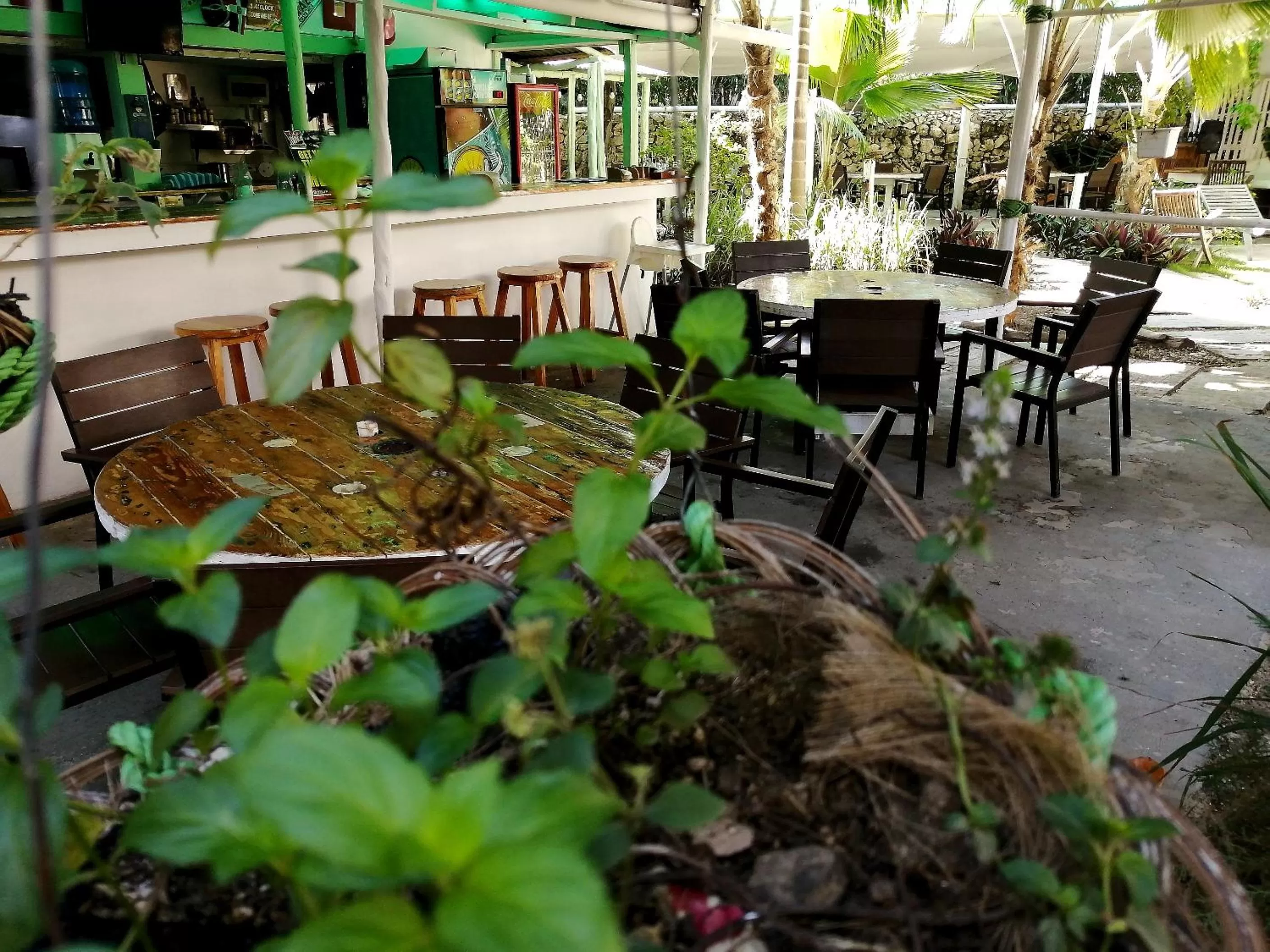 Restaurant/places to eat in Riviera Punta Cana Eco Travelers