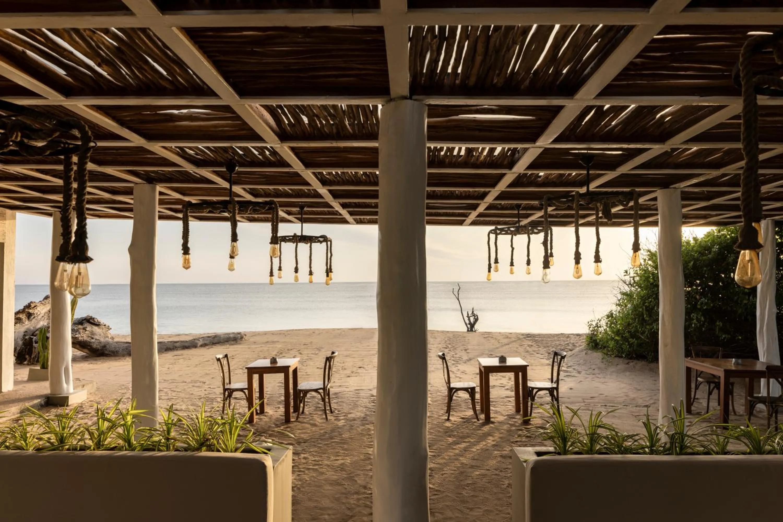 Lounge or bar in Uga Jungle Beach - Trincomalee