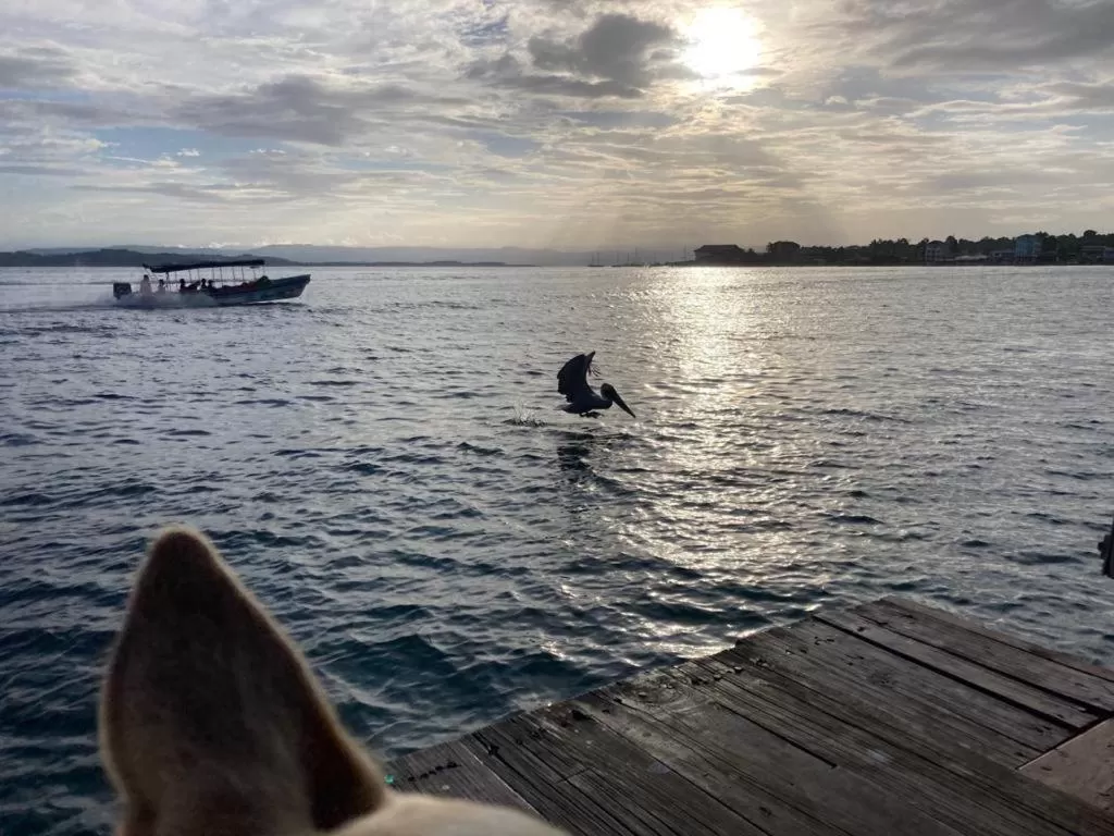 Casa Acuario Boutique Hotel