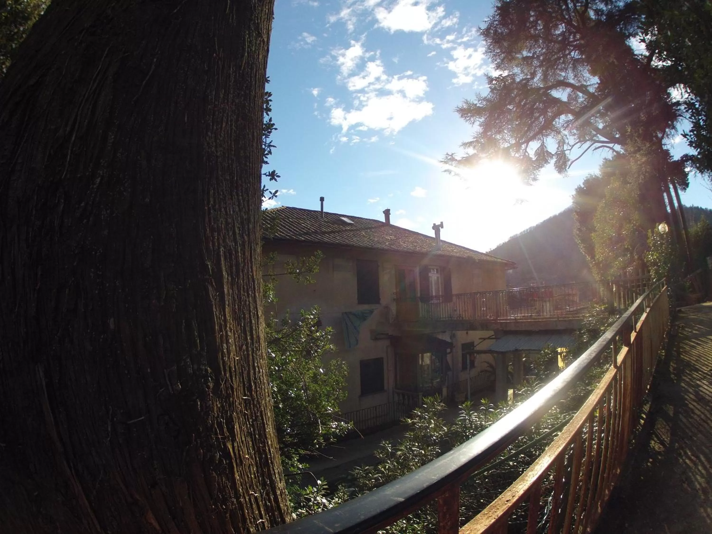 Facade/entrance in B&B Il Cedro