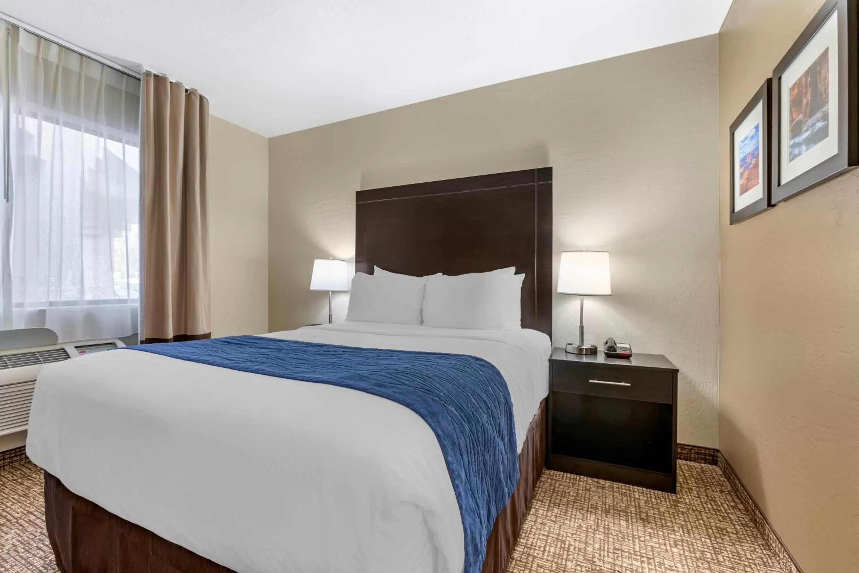 Standard Queen Room with Roll-In Shower - Accessible/Non-Smoking in Comfort Inn & Suites Surprise Near Sun City West