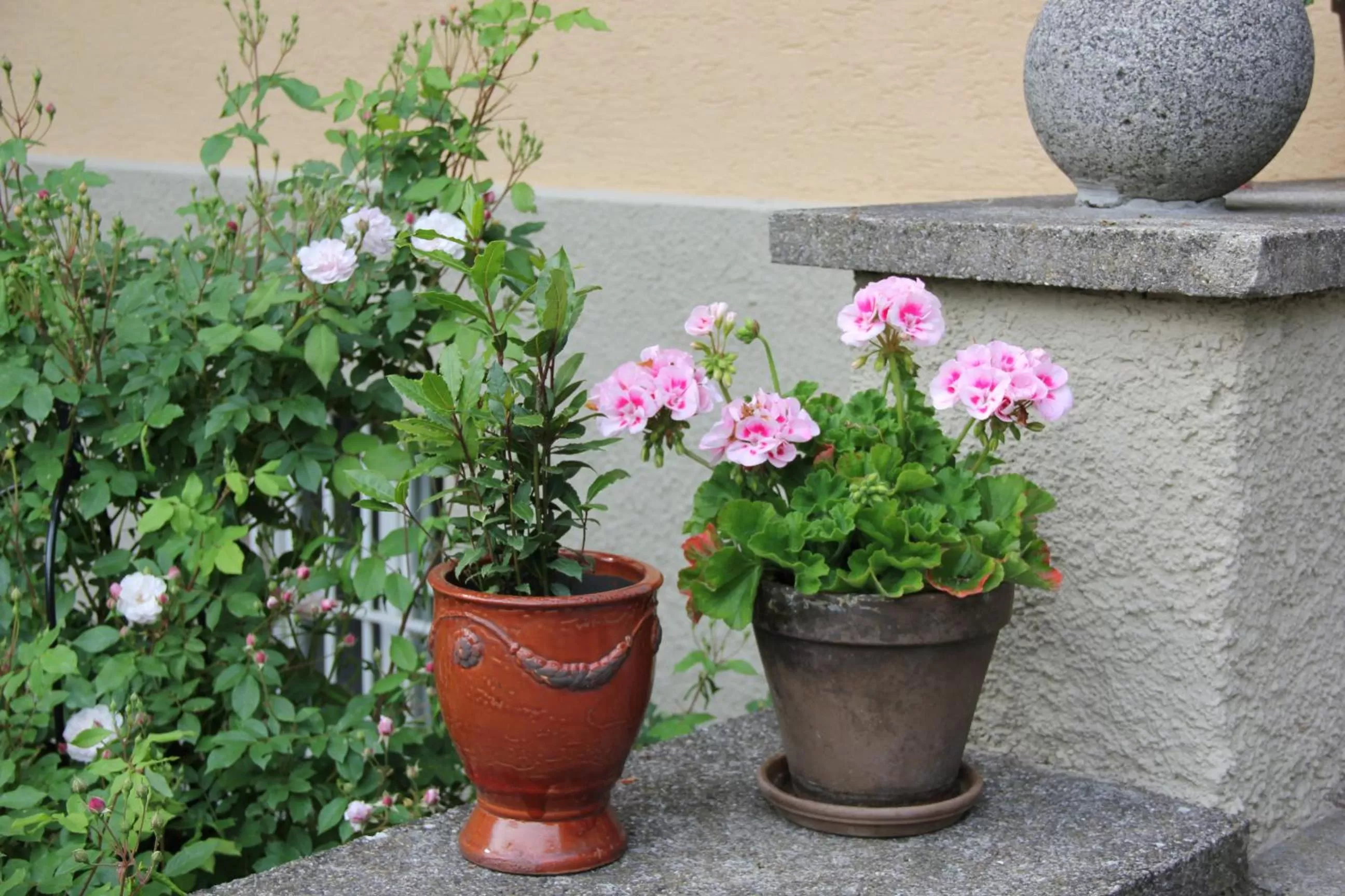 Decorative detail in Villa Zollhaus Bed & Breakfast