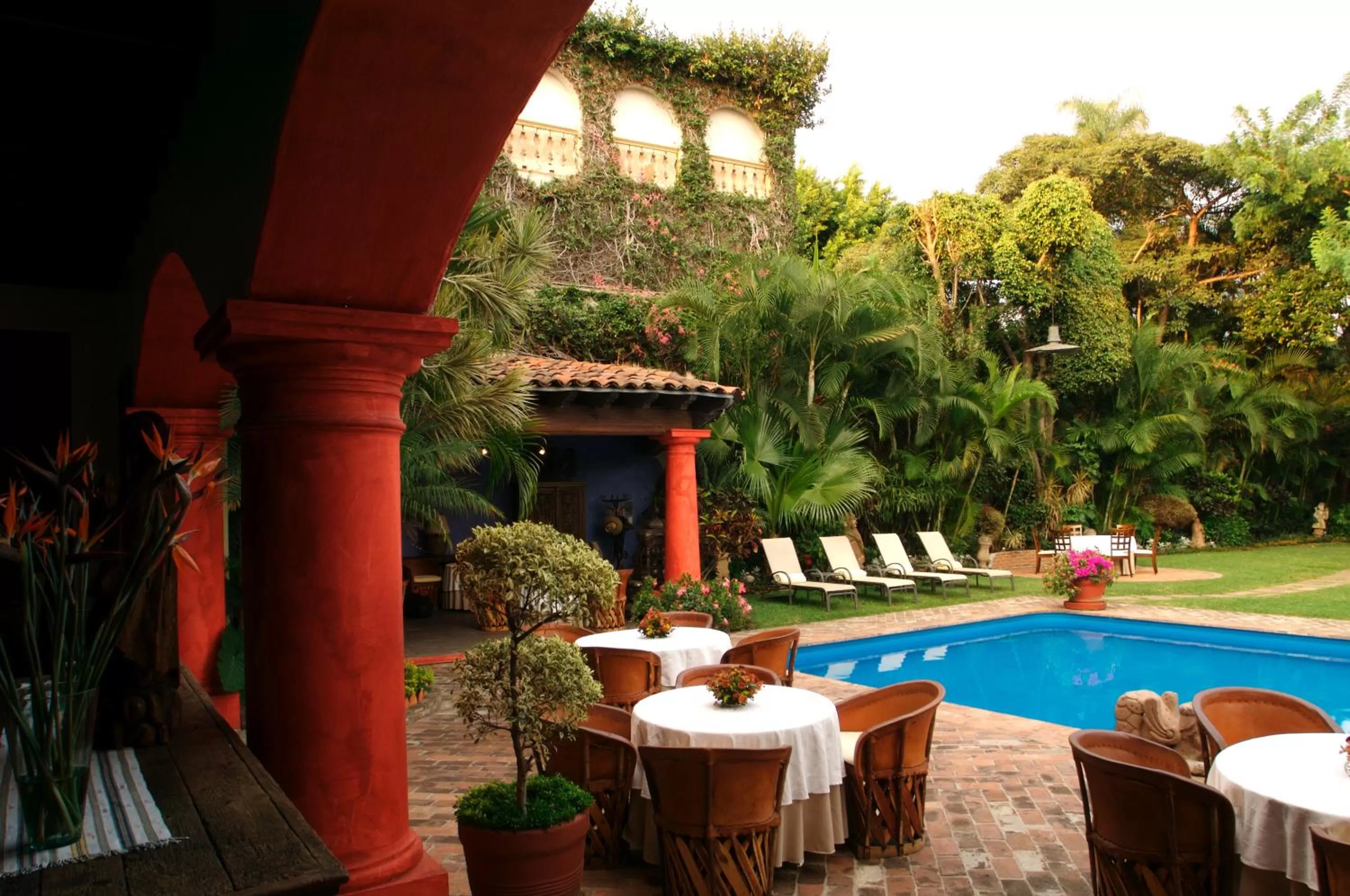 Garden in Hotel Casa Colonial - Adults Only