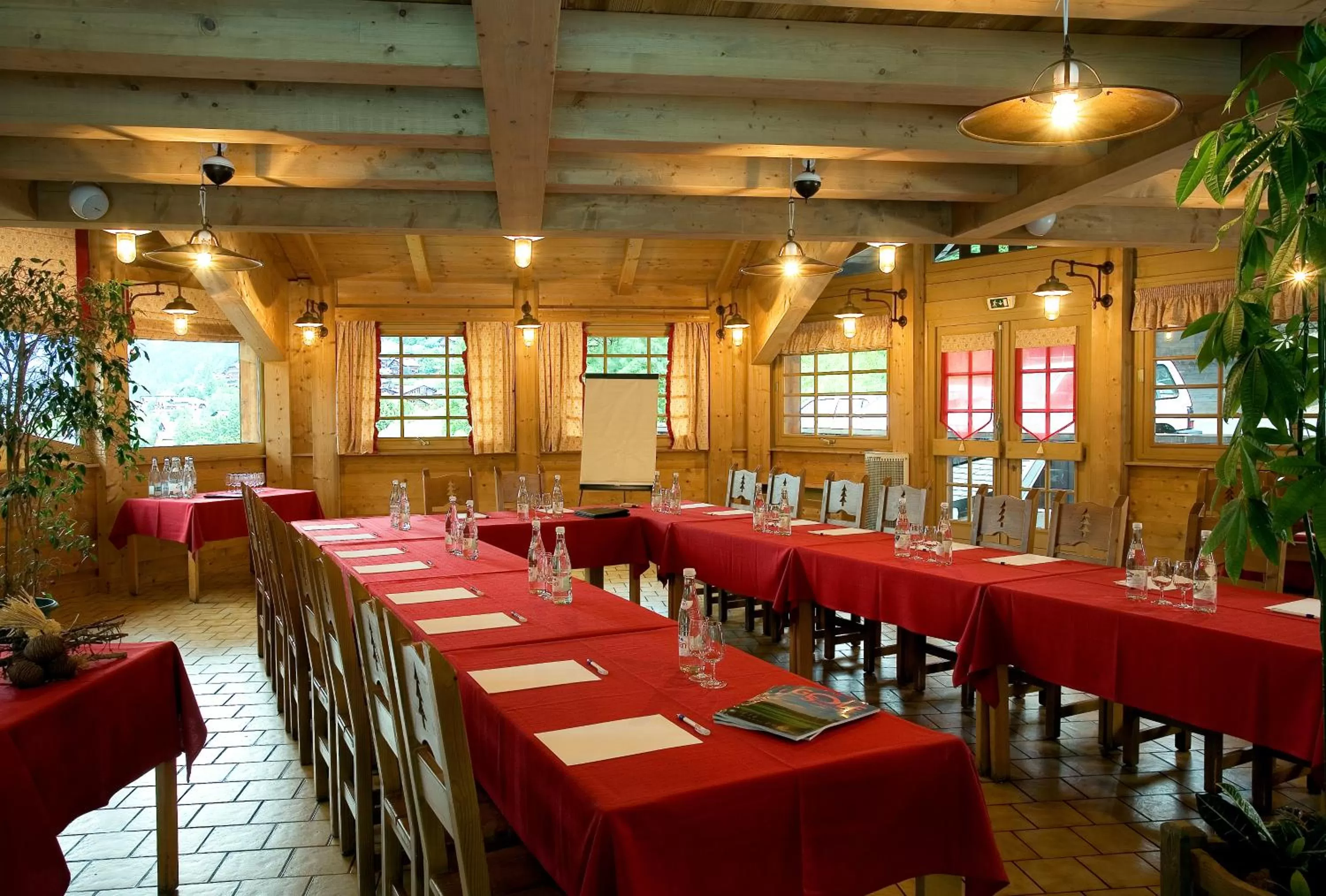Business facilities in Hotel le Petit Dru