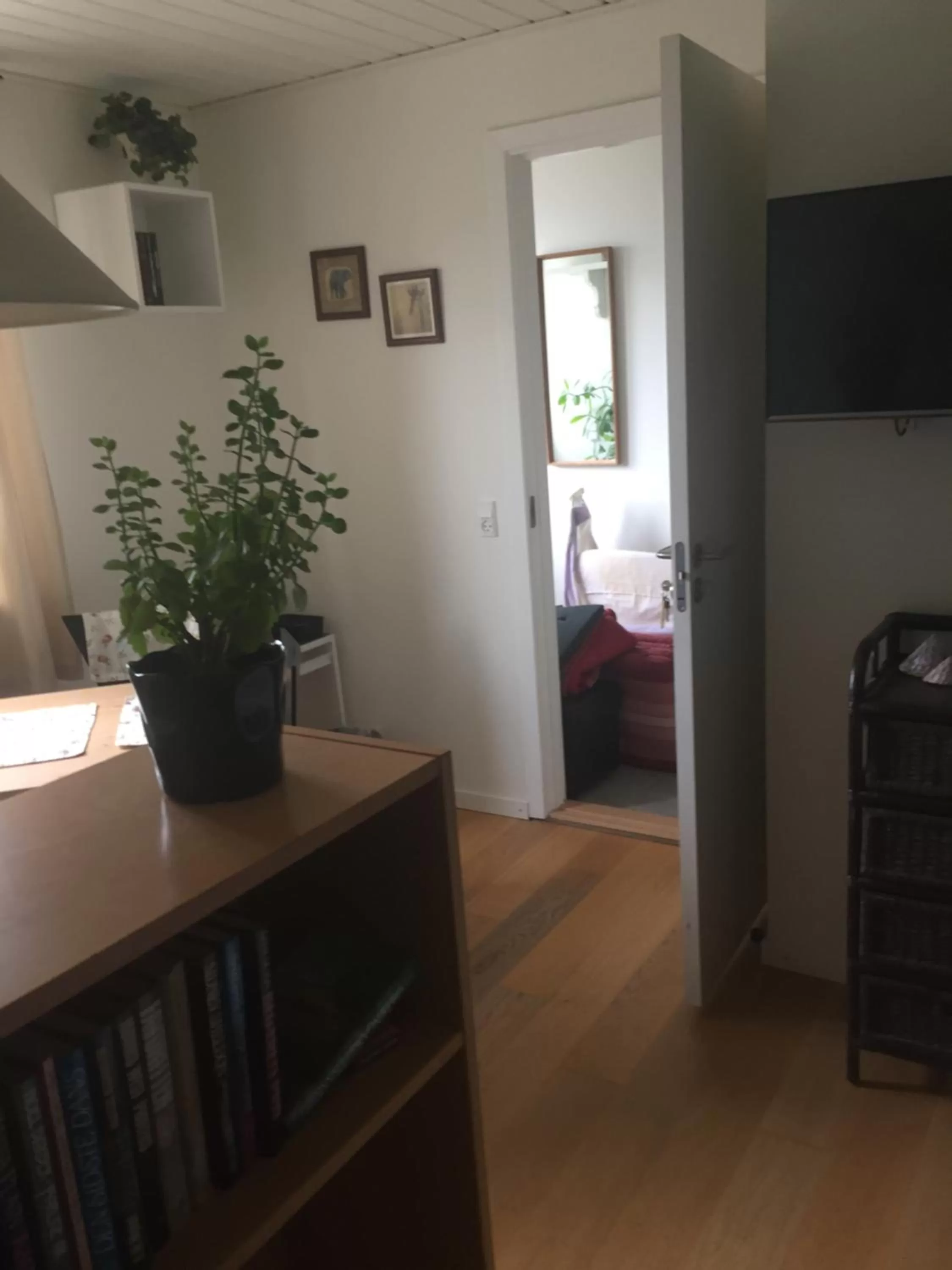 Living room, TV/Entertainment Center in Molino