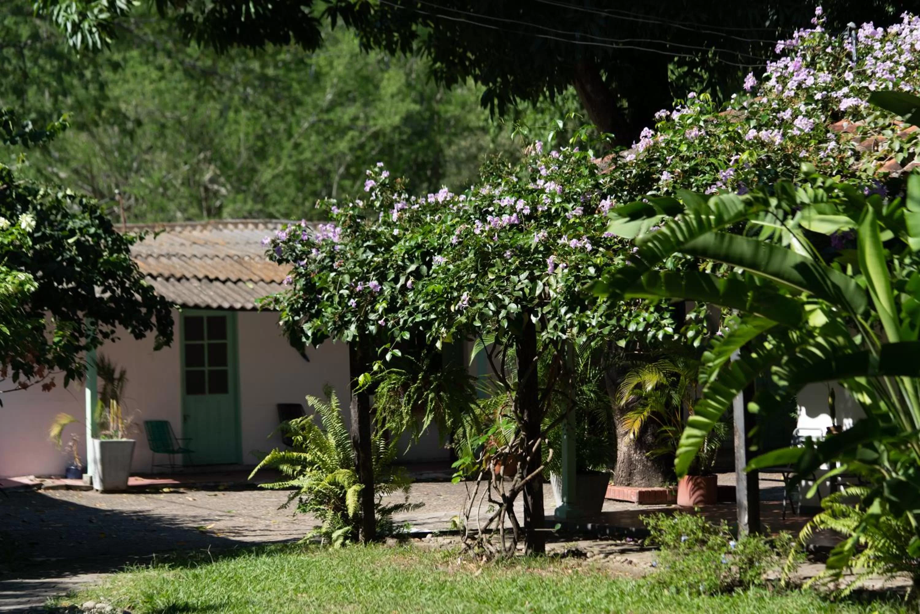 Garden, Property Building in Waka Hotel Rural