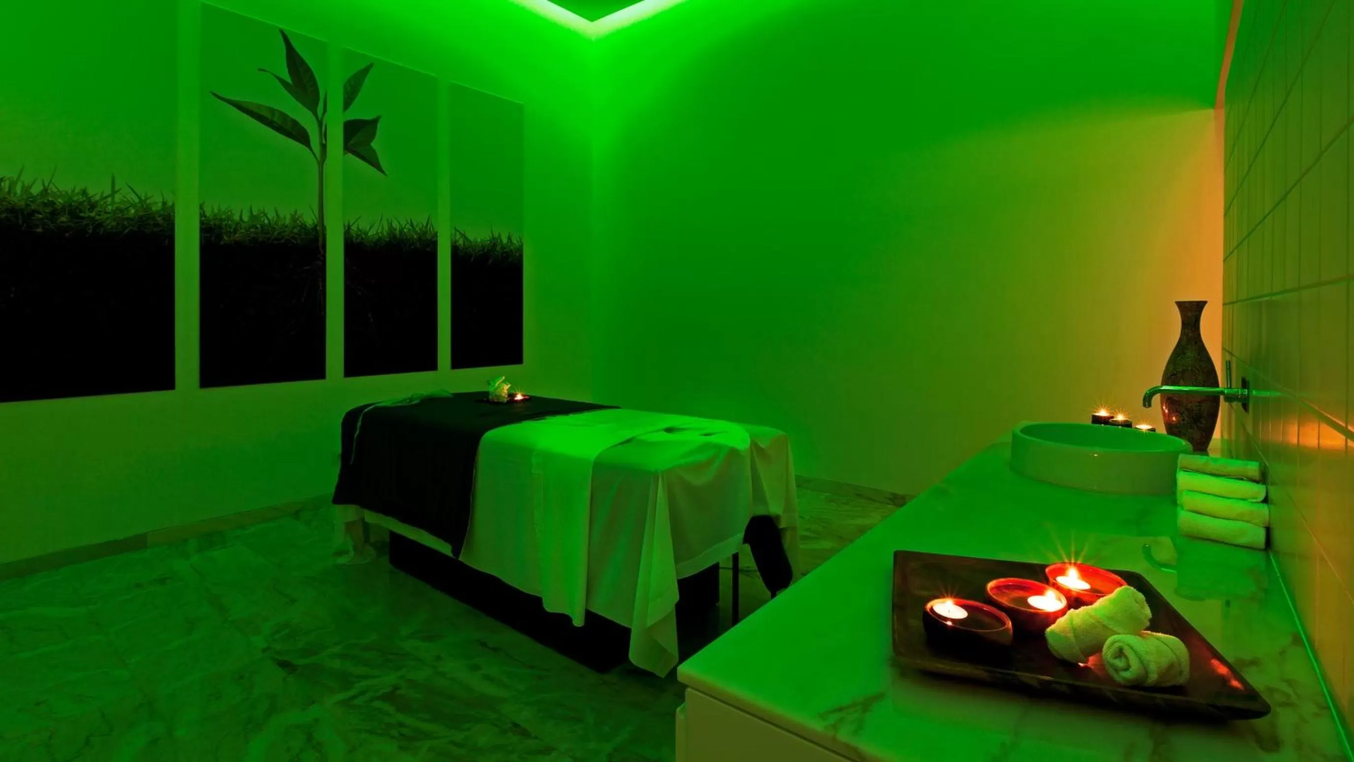 Spa and wellness centre/facilities in Douro Royal Valley Hotel & Spa