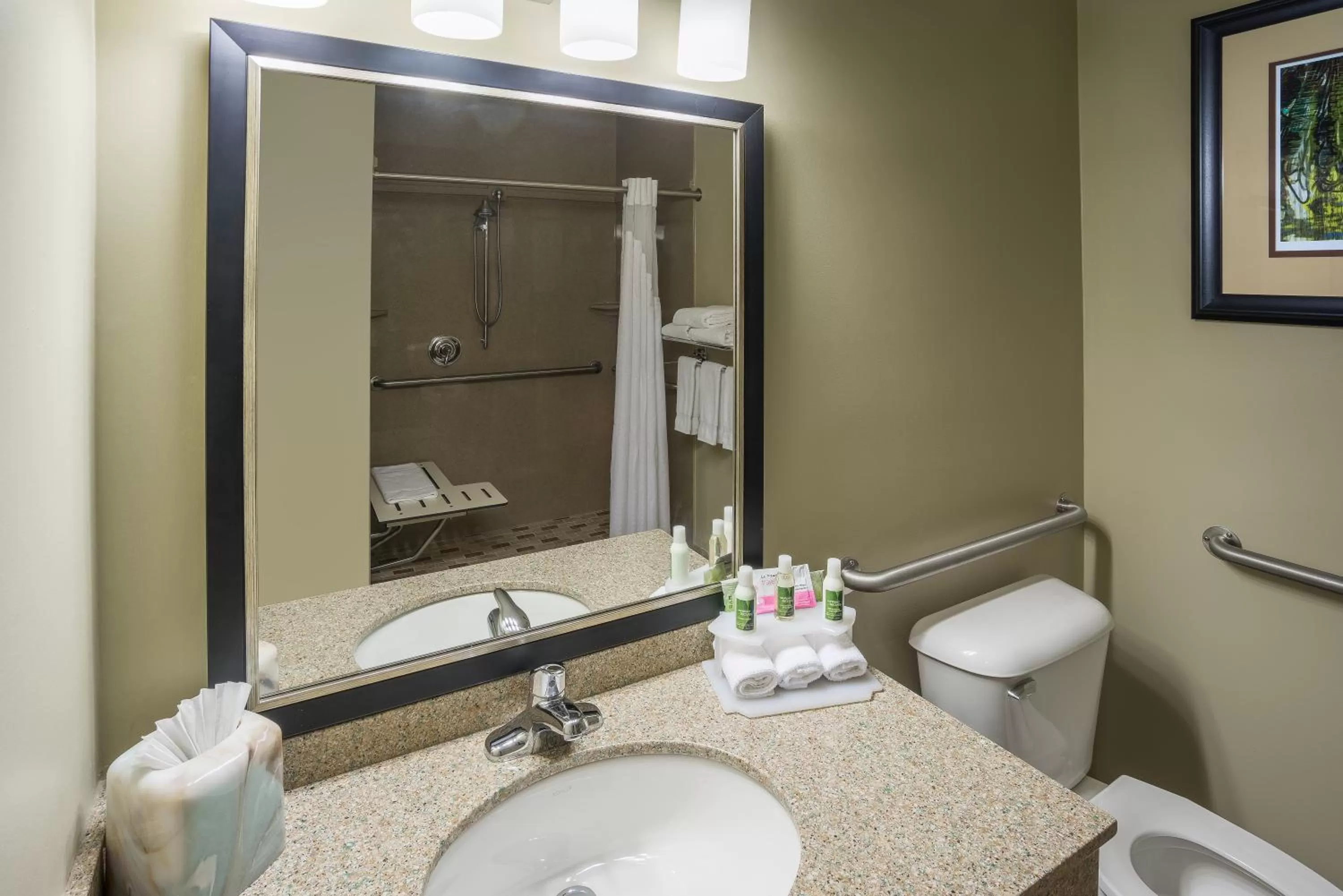 Bathroom in Holiday Inn Express Hotel & Suites St. Paul - Woodbury by IHG