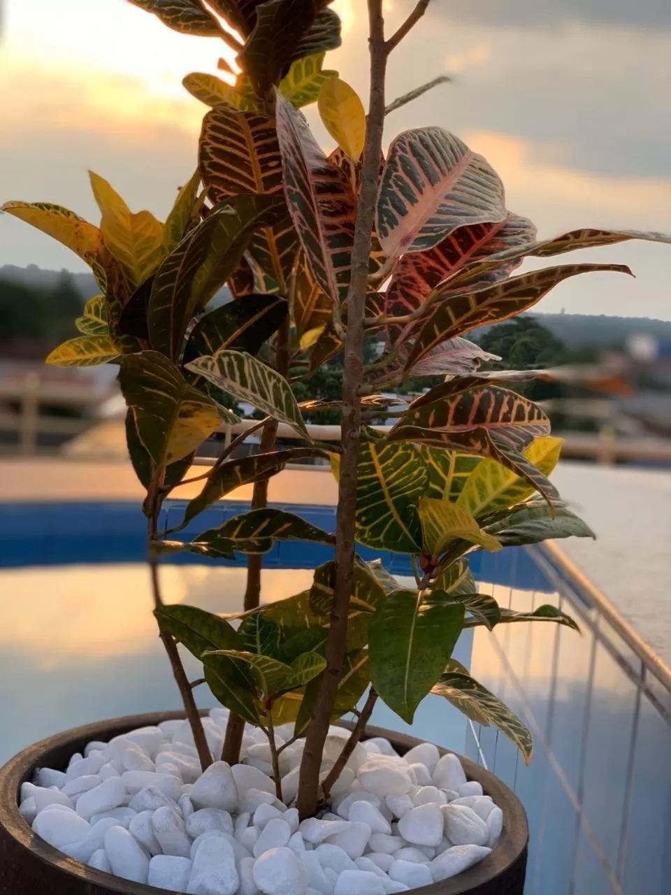 Swimming Pool in SAMIR HOTEL COMFORT