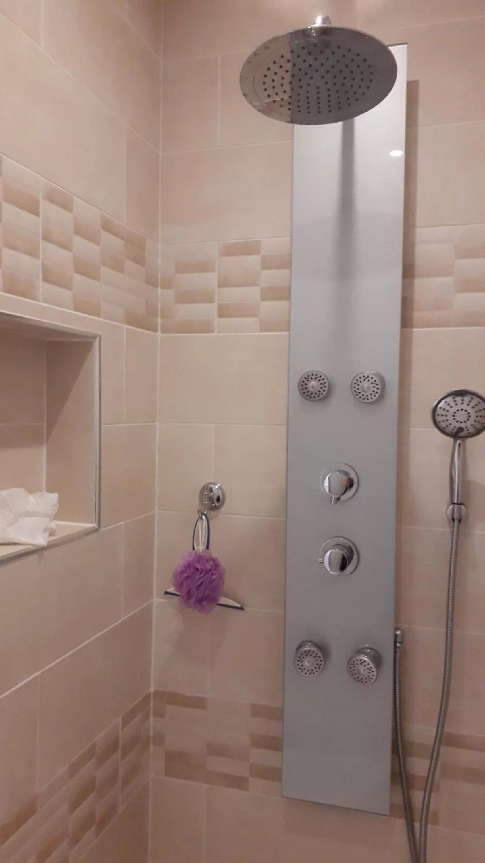 Shower in La Maison Bourgeoise