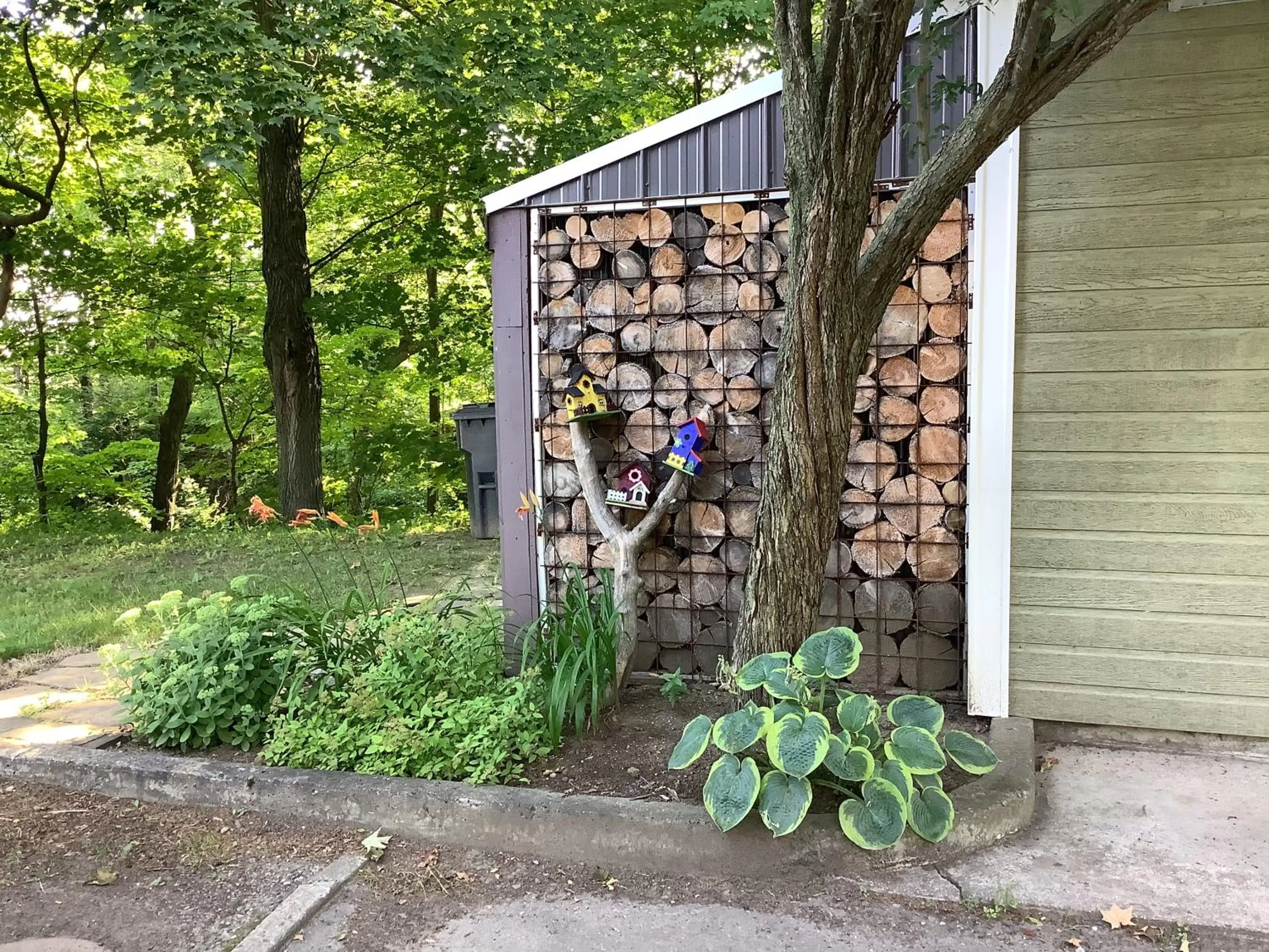 Les saisons du fleuve